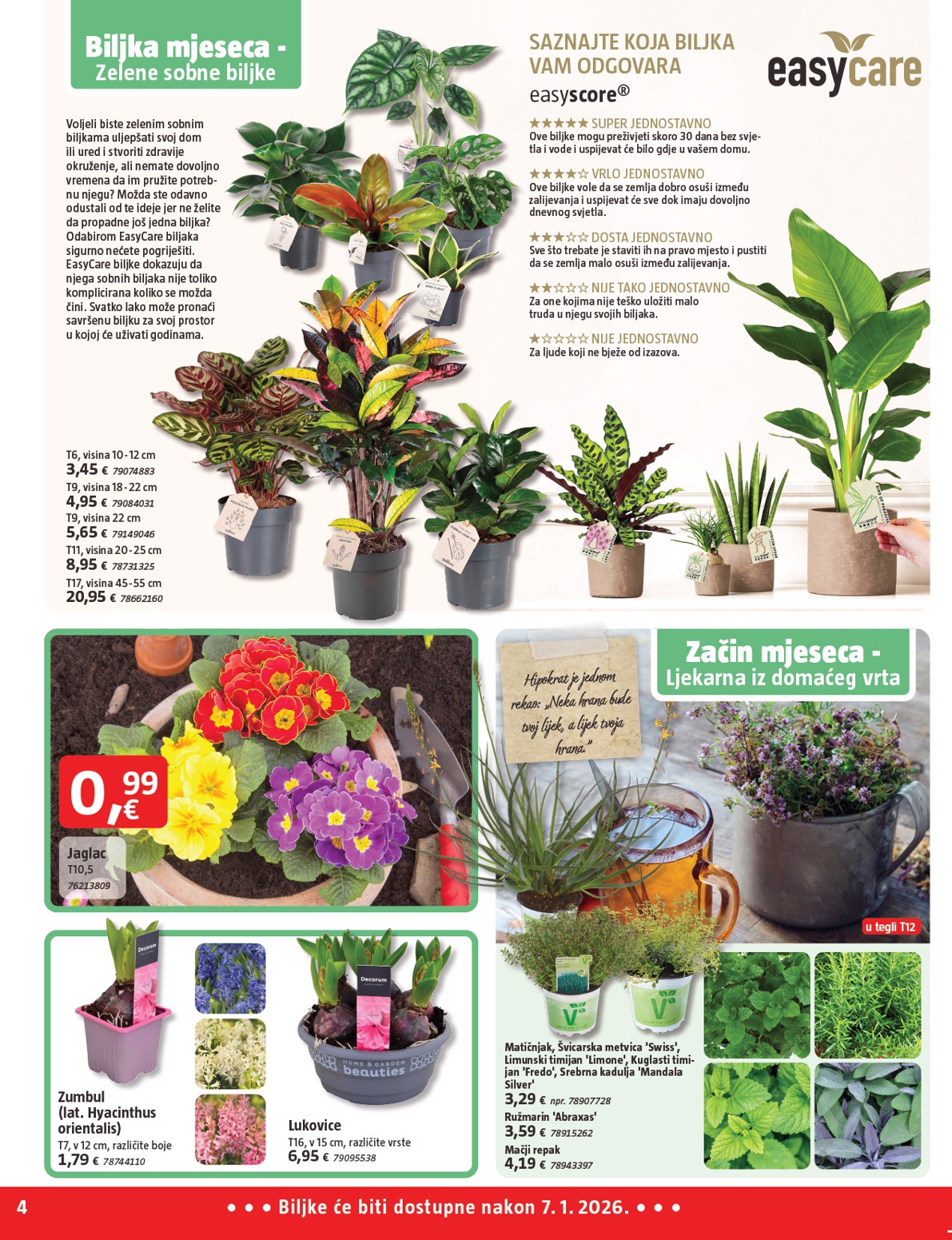 bauhaus - Prelistajte katalog BAUHAUS, vrijedi od 01.01. do 28.01. - page: 4