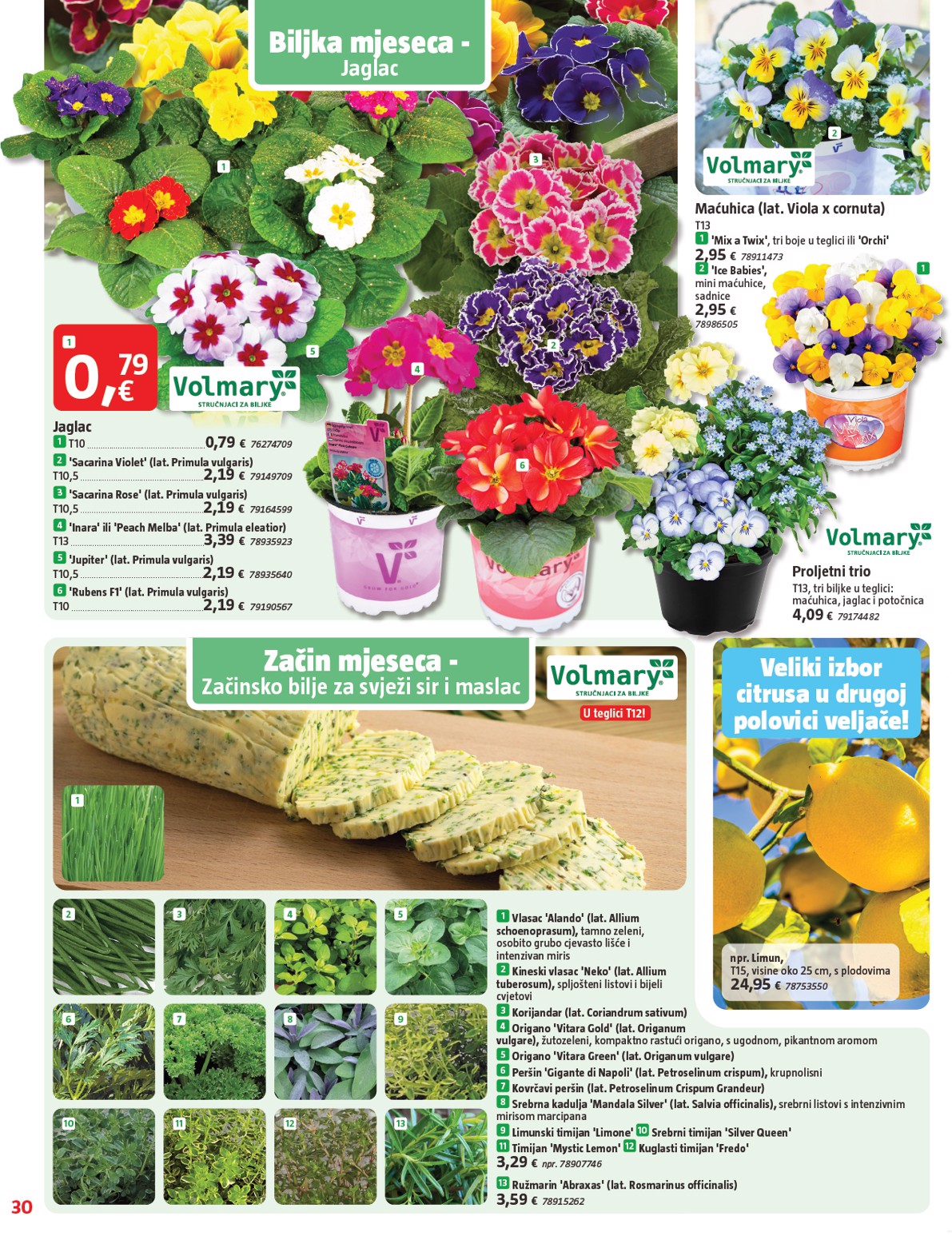 bauhaus - Prelistajte katalog BAUHAUS, vrijedi od 29.01. do 04.03. - page: 30