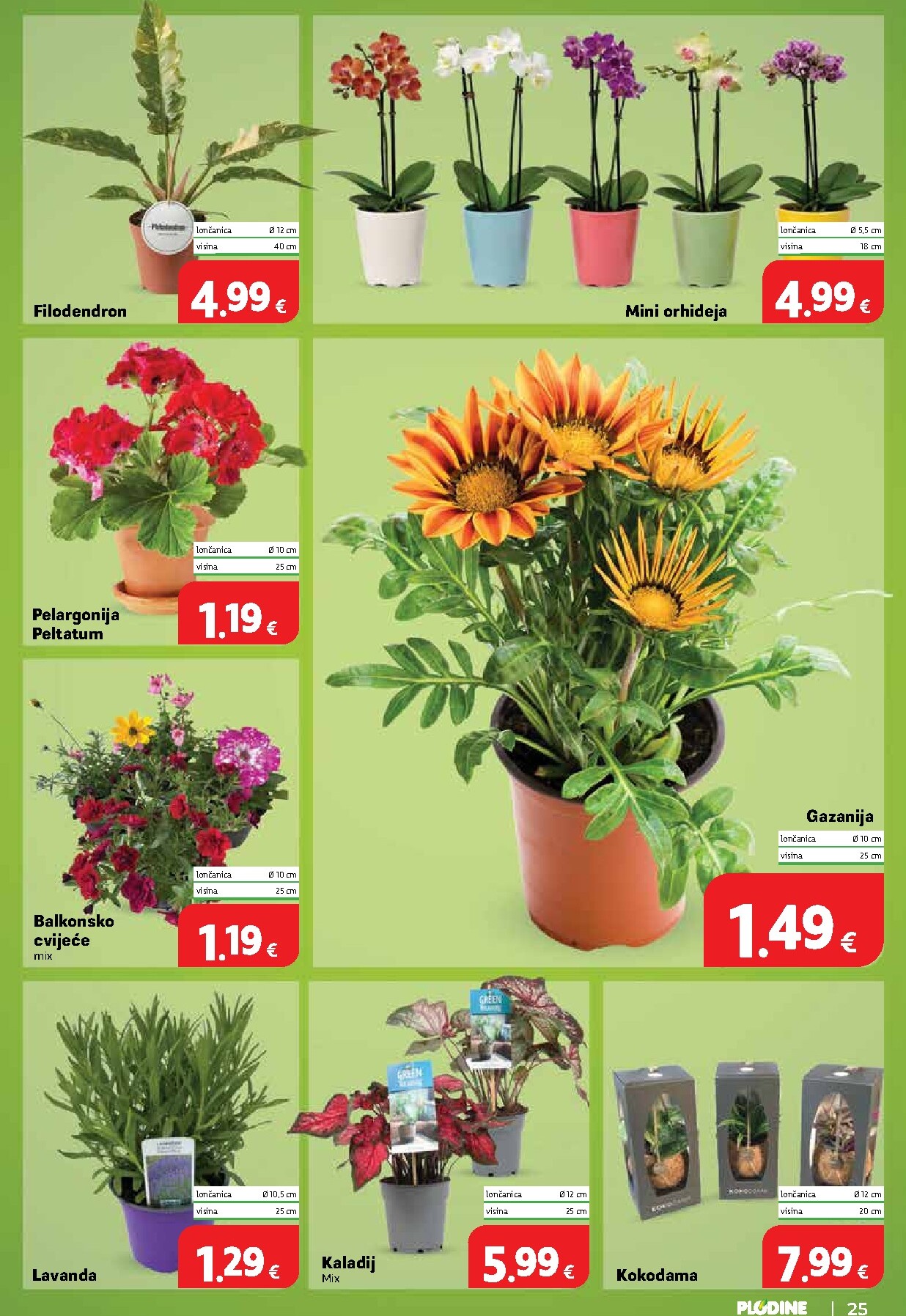 plodine - Aktualni katalog Plodine od srijede, 03.06.2026 do utorka, 09.06.2026 - page: 25