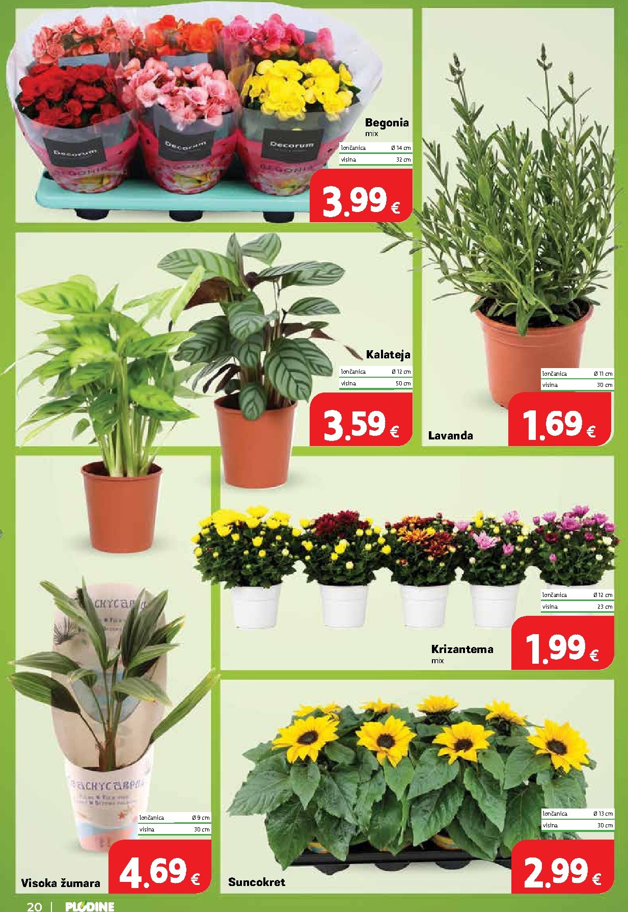 plodine - Novi Plodine katalog od srijede, 24.06.2026 do utorka, 30.06.2026 - page: 20