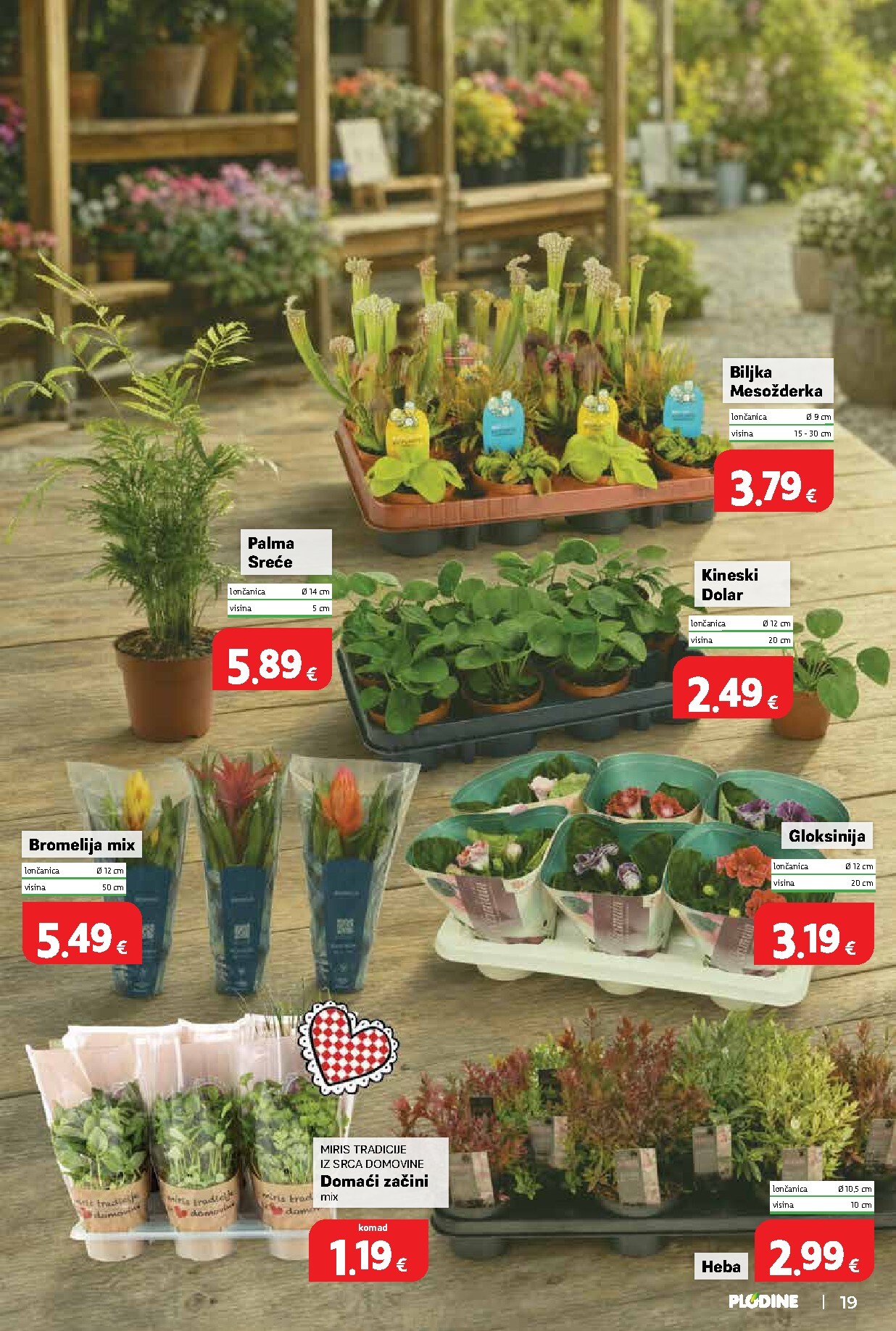plodine - Novi Plodine katalog od srijede, 29.07.2026 do utorka, 04.08.2026 - page: 19