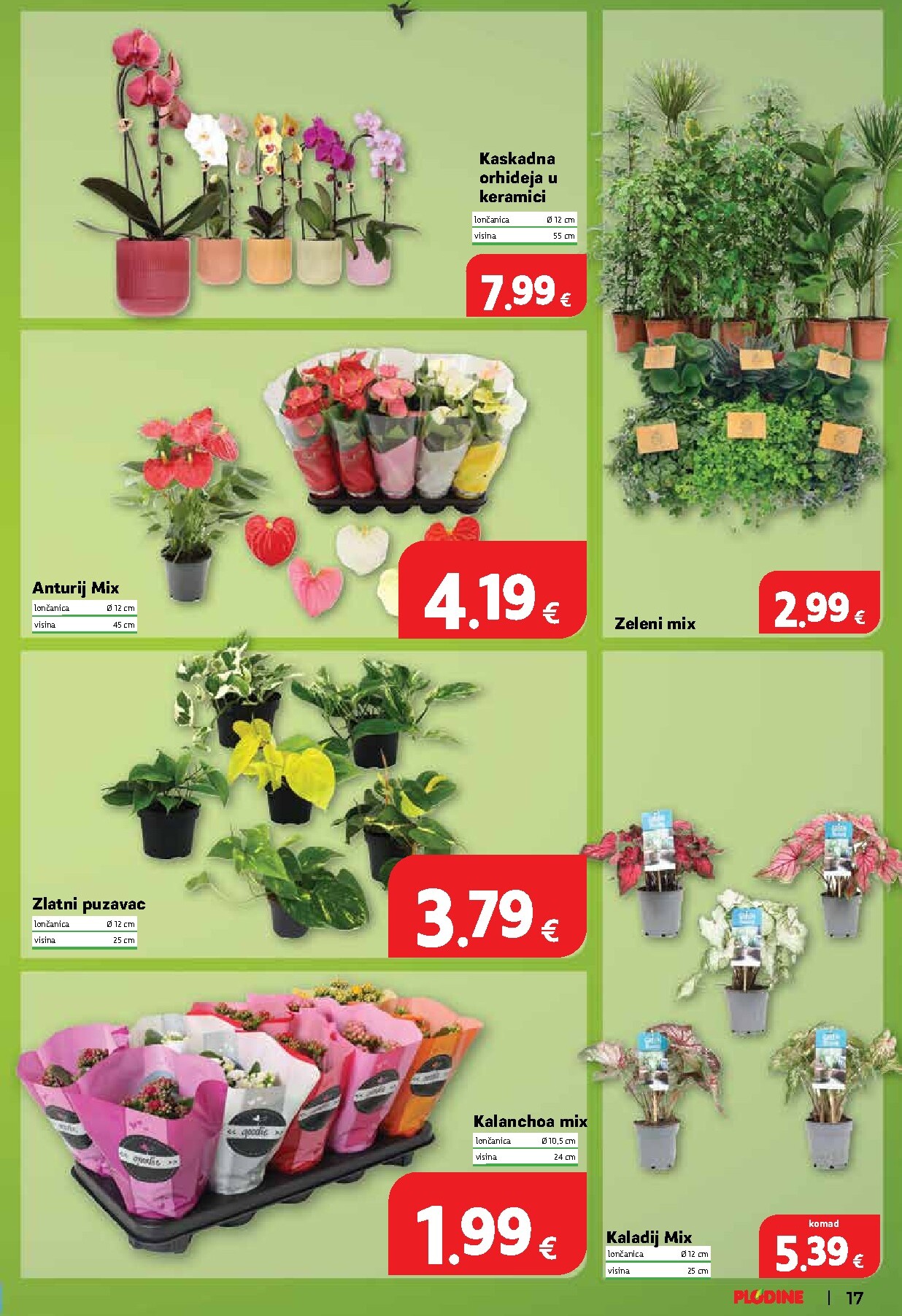 plodine - Novi Plodine katalog od četvrtka, 06.08.2026 do utorka, 11.08.2026 - page: 17
