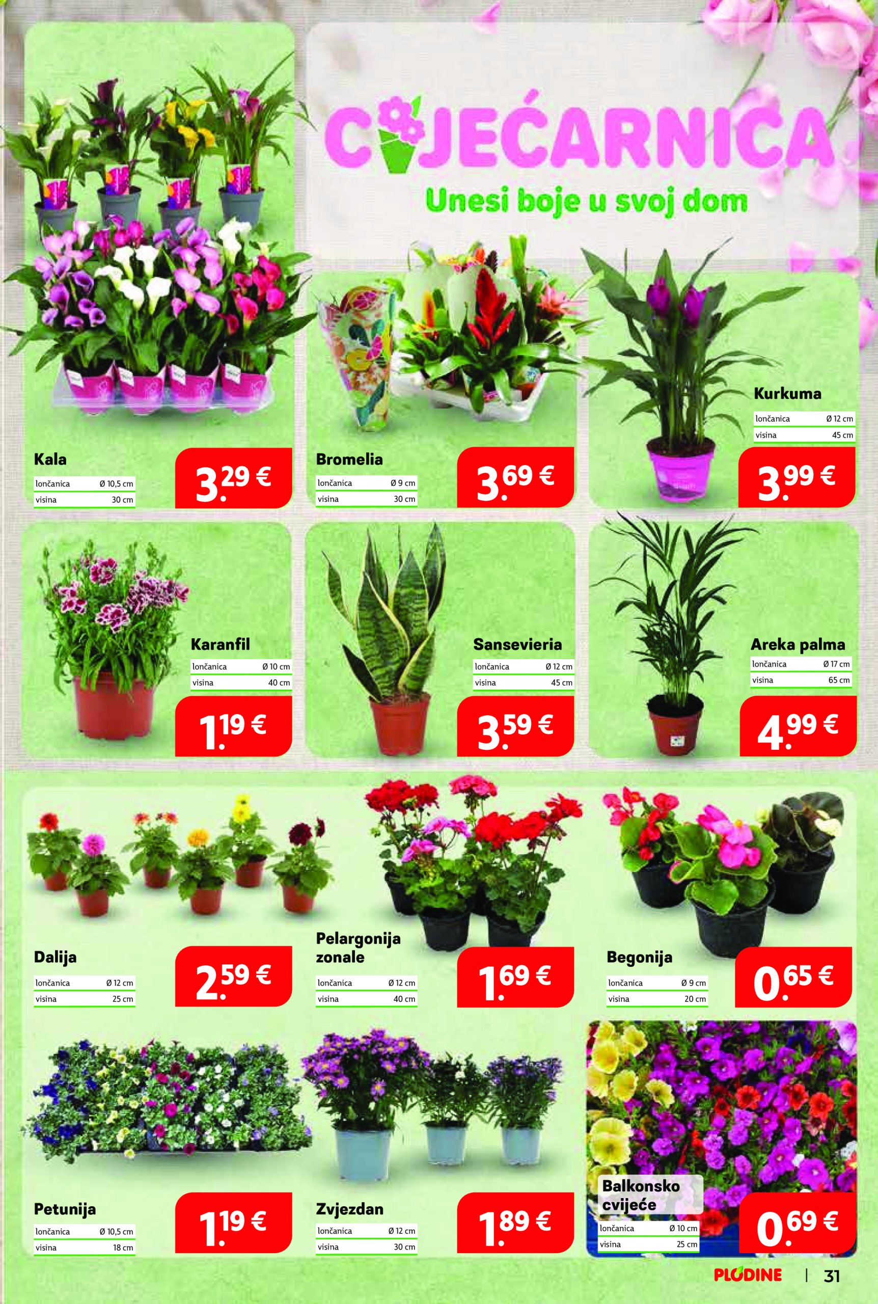 plodine - Prelistajte ovaj Plodine - Otvorenje Vis katalog, vrijedi od 28.05. do 03.06. - page: 31