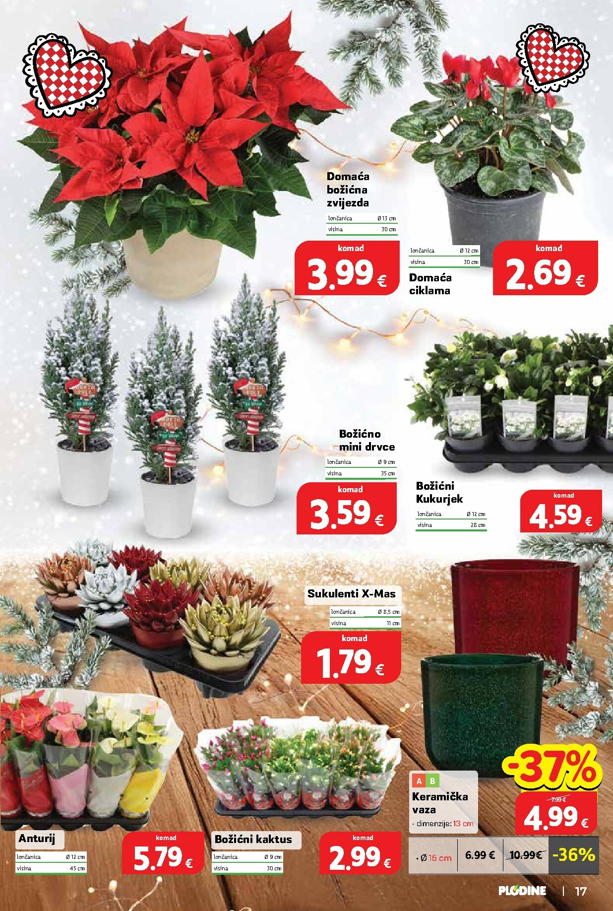 plodine - Prelistajte katalog Plodine, vrijedi od 19.11. do 25.11. - page: 17