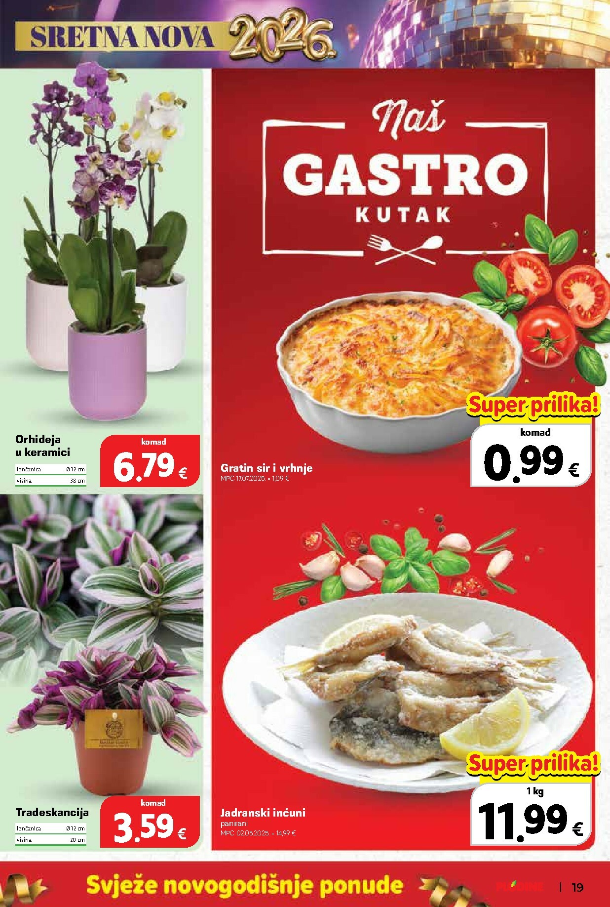 plodine - Prelistajte katalog Plodine, vrijedi od 27.01. do 31.12. - page: 19