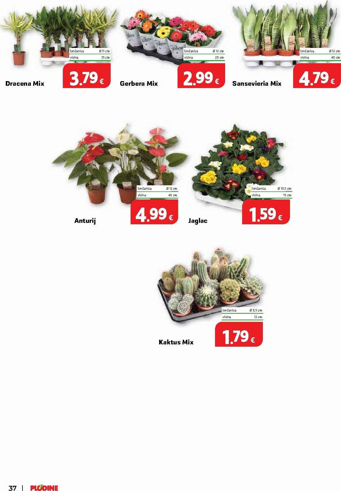plodine - Prelistajte katalog Plodine, vrijedi od 02.01. do 05.01. - page: 36