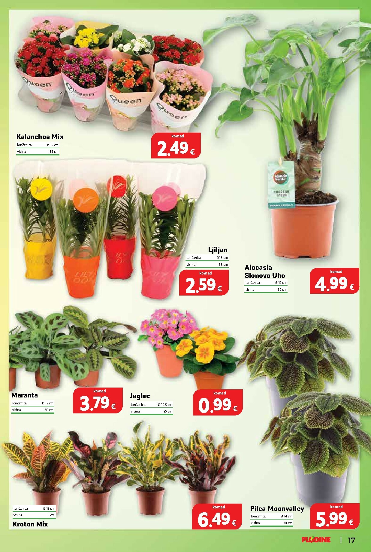 plodine - Prelistajte katalog Plodine, vrijedi od 07.12. do 13.01. - page: 17