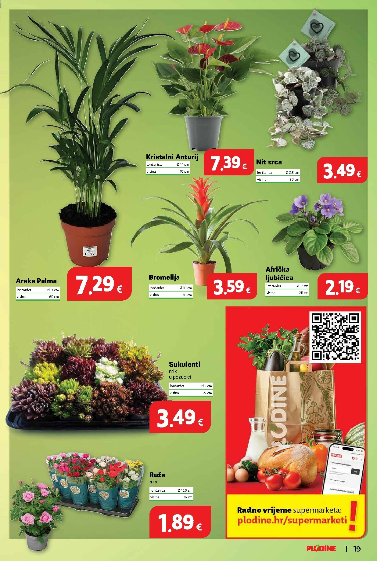 plodine - Prelistajte katalog Plodine, vrijedi od 14.01. do 20.01. - page: 19