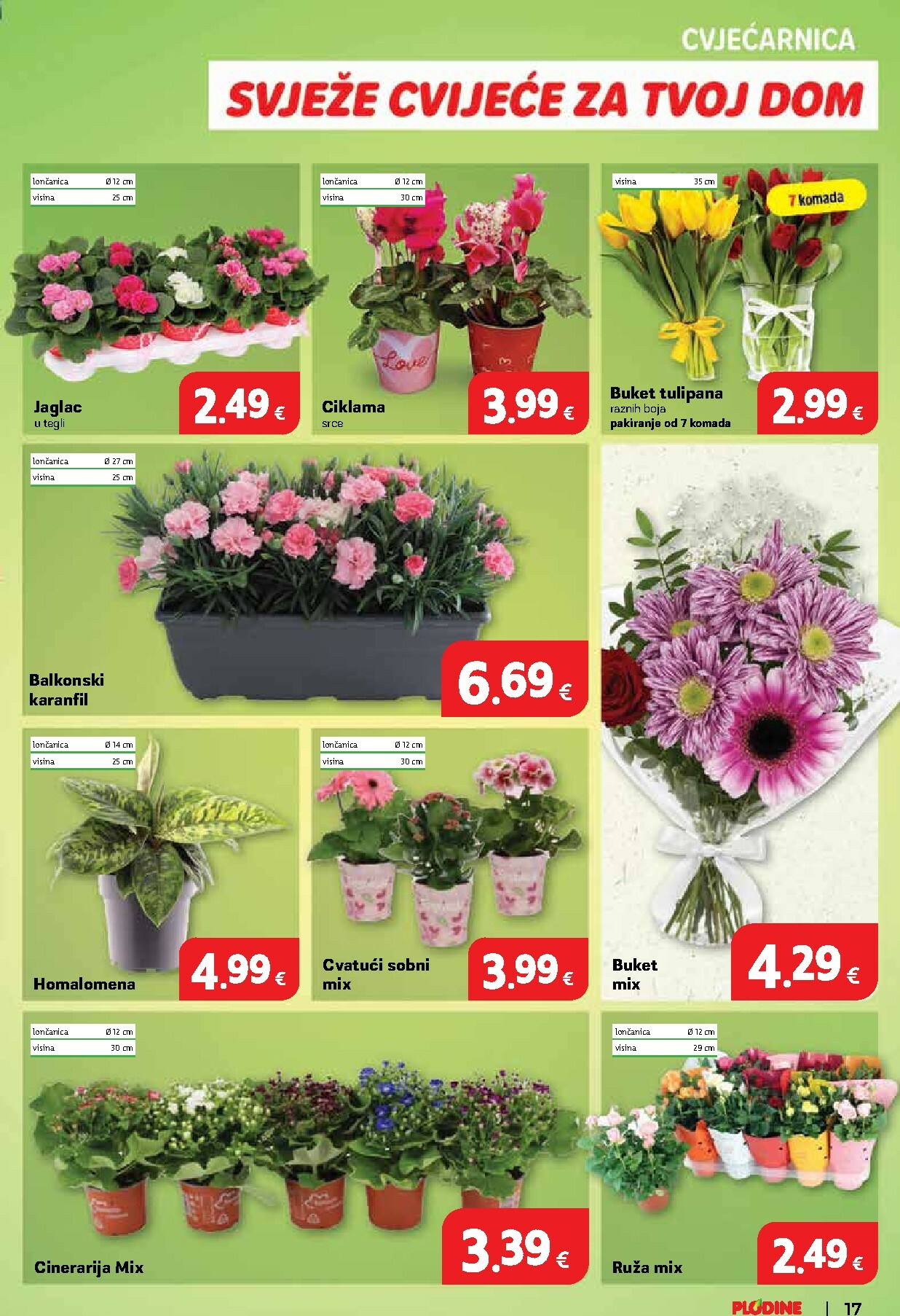 plodine - Prelistajte katalog Plodine, vrijedi od 28.01. do 03.02. - page: 17