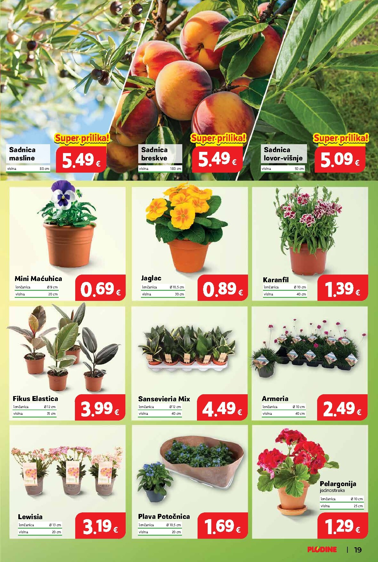 plodine - Prelistajte katalog Plodine, vrijedi od 11.03.2026 do 17.03.2026 - page: 19
