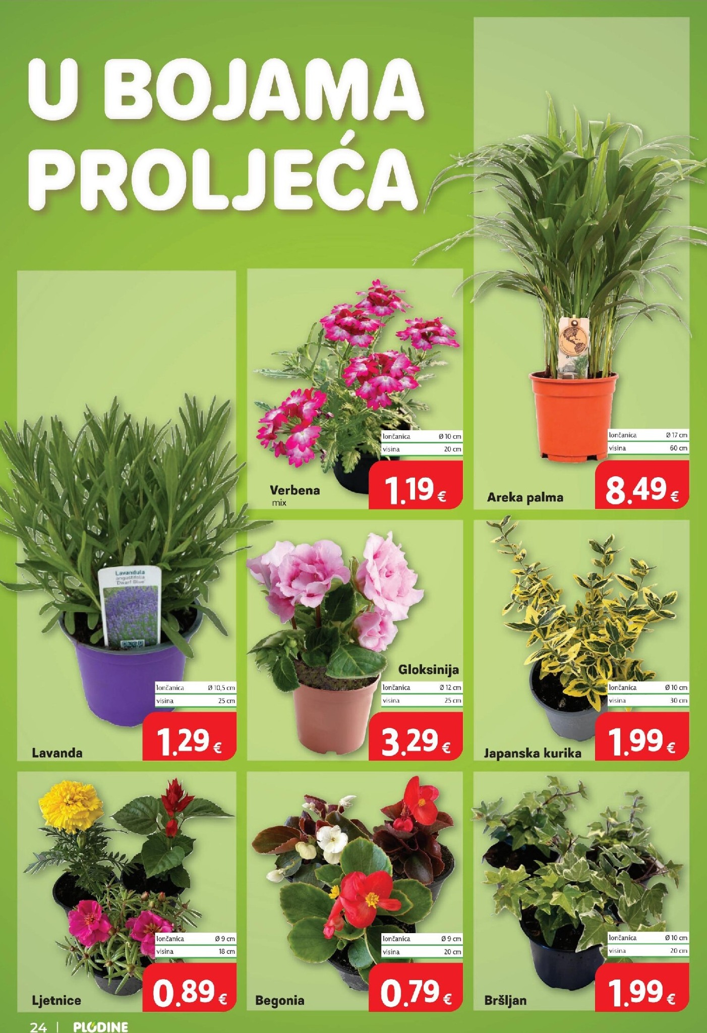 plodine - Budući Plodine letak vrijedi od srijede 13.05.2026 do utorka 19.05.2026 - page: 24