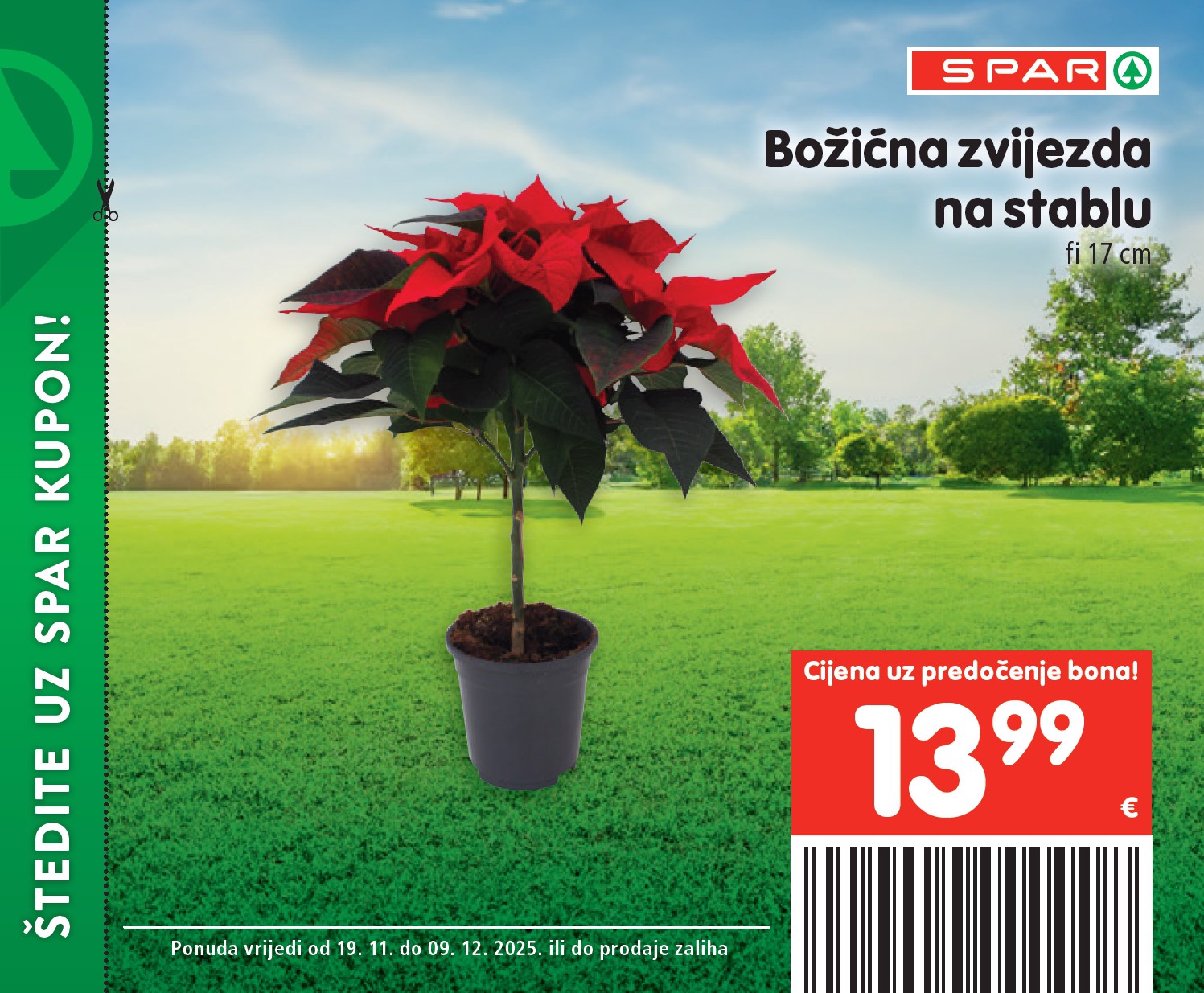 spar - Prelistajte katalog SPAR - Posebne pogodnosti, vrijedi od 19.11. do 09.12. - page: 31