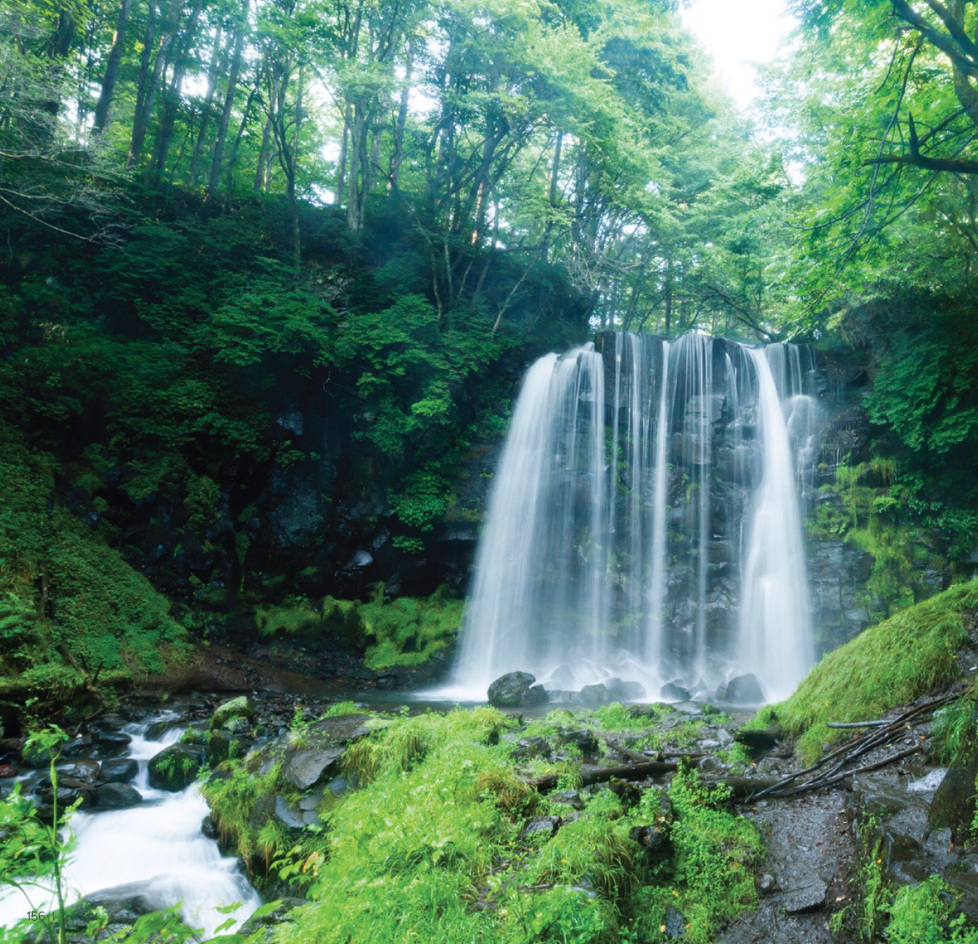 farmasi - Prelistajte katalog Farmasi, vrijedi od 01.01. do 31.01. - page: 156