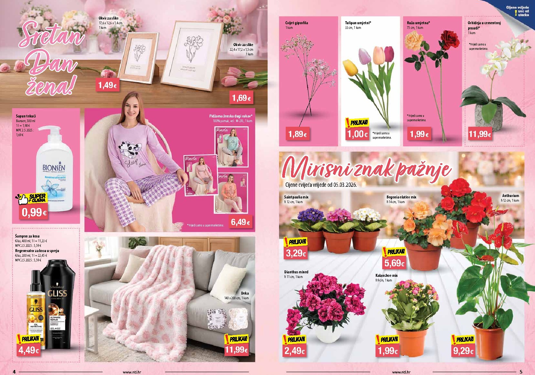 ntl - Prelistajte katalog NTL - Sjever, vrijedi od 04.03.2026 do 10.03.2026 - page: 3