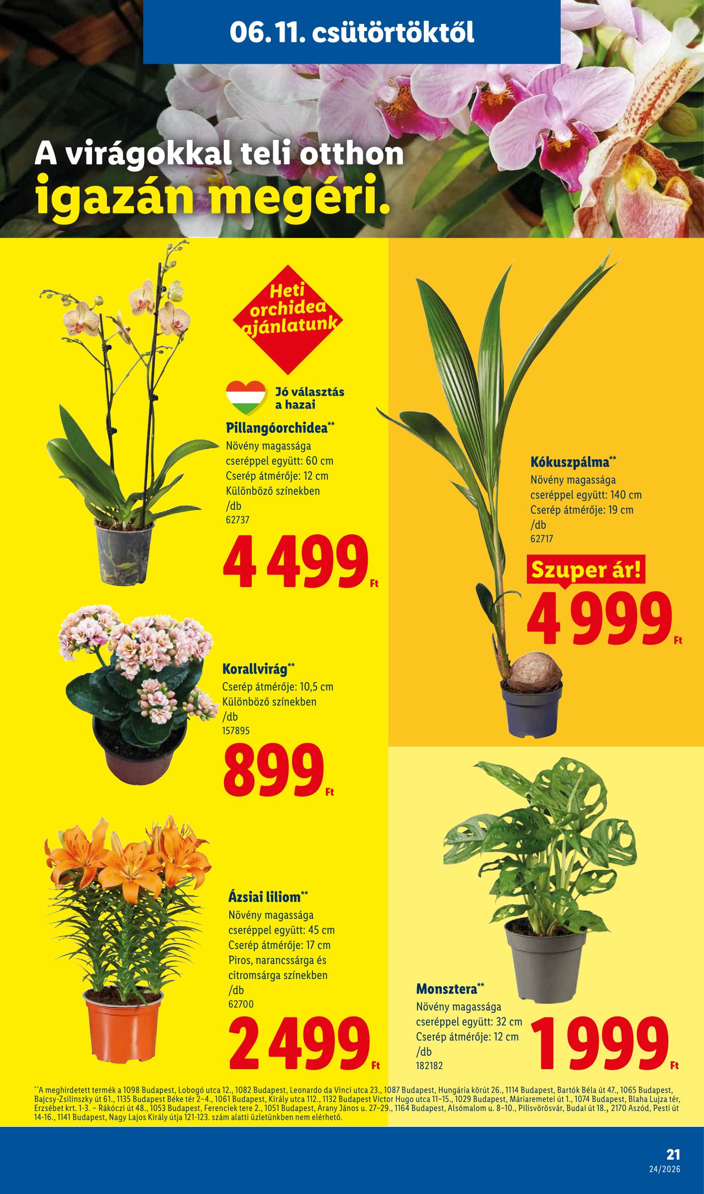 lidl - Lidl hirdetmény a következő hétre csütörtöktől 2026.06.11.-tól szerdától 2026.06.17.-ig - page: 21