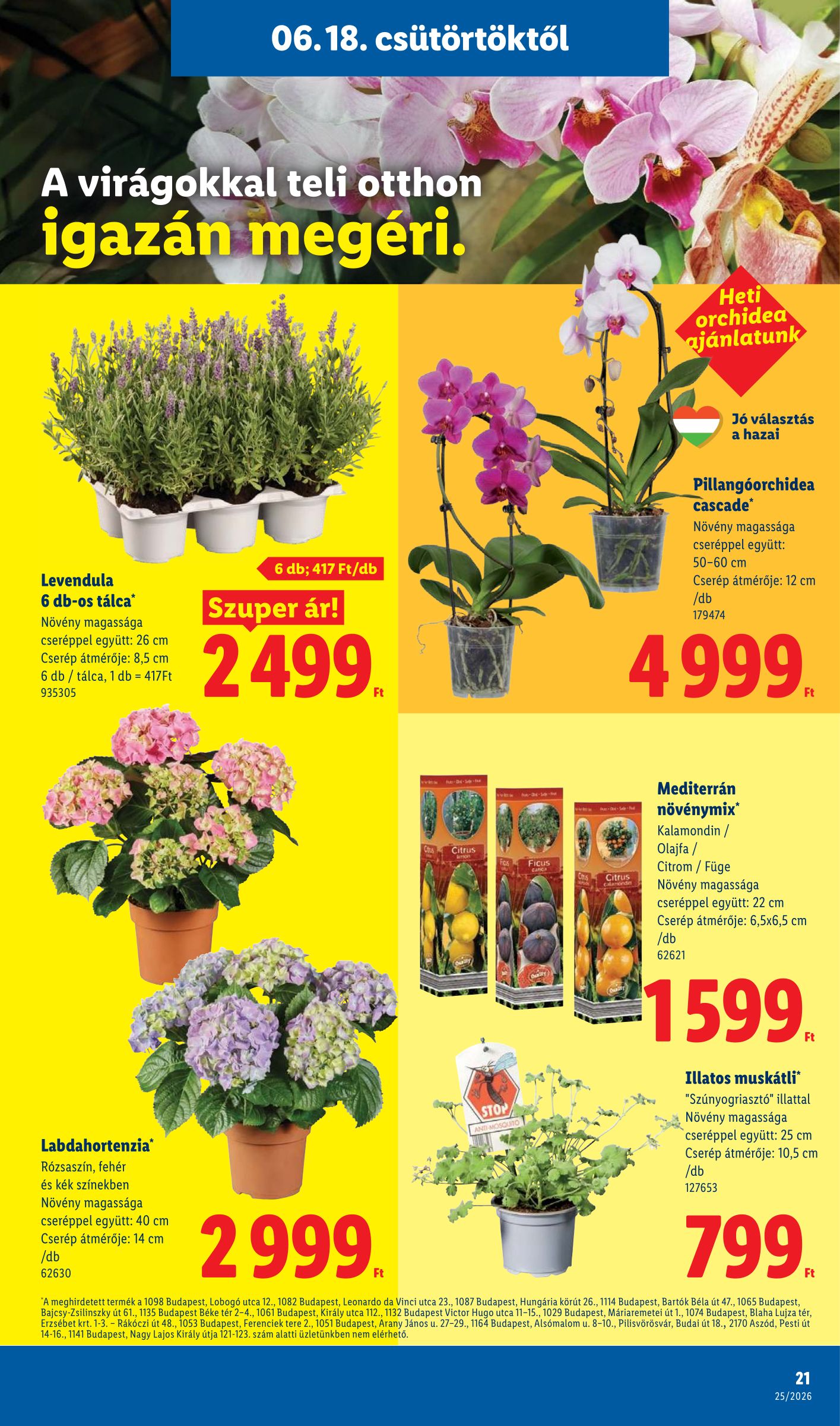 lidl - Lidl hirdetmény a következő hétre csütörtöktől 2026.06.18.-tól szerdától 2026.06.24.-ig - page: 21