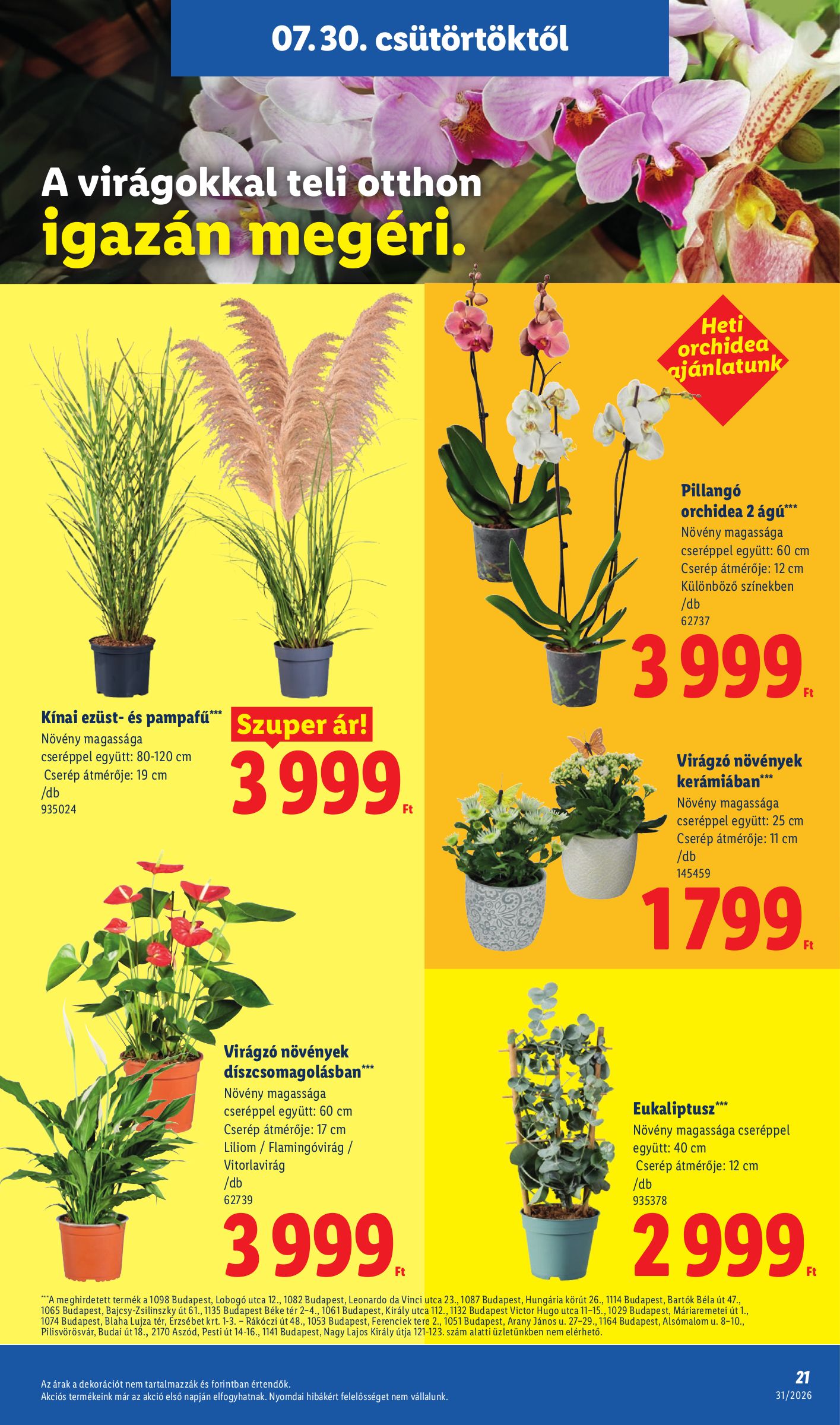 lidl - Lidl hirdetmény a következő hétre csütörtöktől 2026.07.30.-tól szerdától 2026.08.05.-ig - page: 21