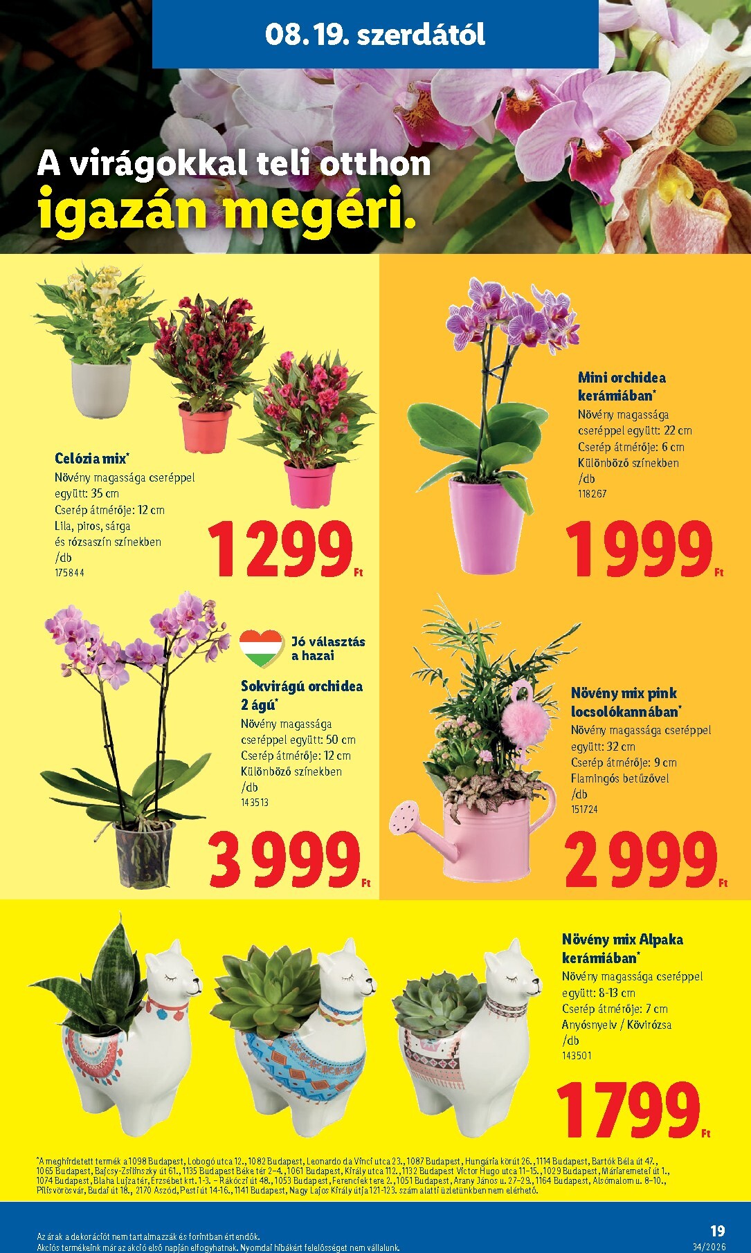 lidl - Lidl hirdetmény a következő hétre szerdától 2026.08.19.-tól szerdától 2026.08.26.-ig - page: 19