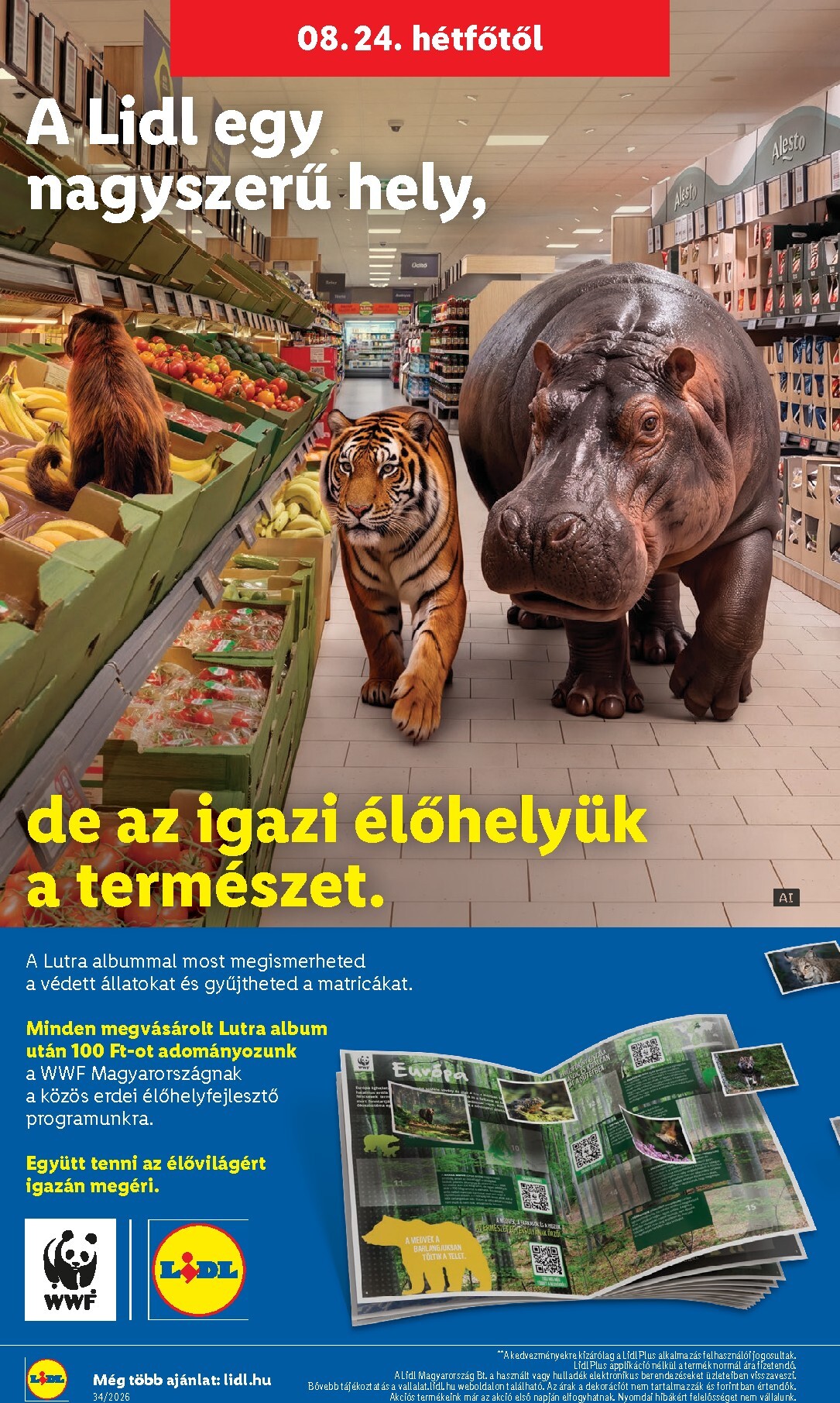 lidl - Lidl hirdetmény a következő hétre szerdától 2026.08.19.-tól szerdától 2026.08.26.-ig - page: 52