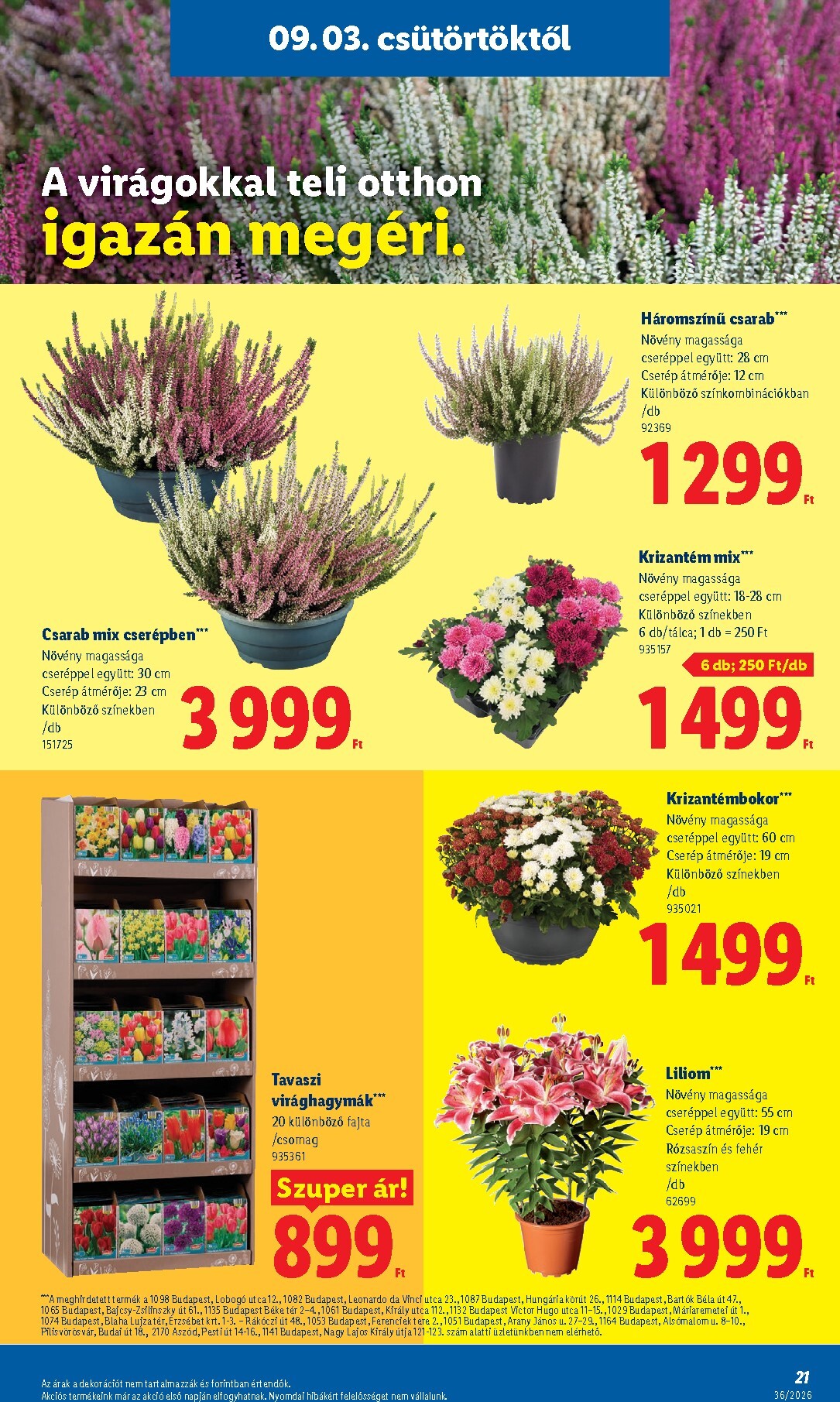 lidl - Aktuális Lidl szórólap érvényes csütörtöktől 2026.09.03.-től szerdától 2026.09.09.-ig - page: 21
