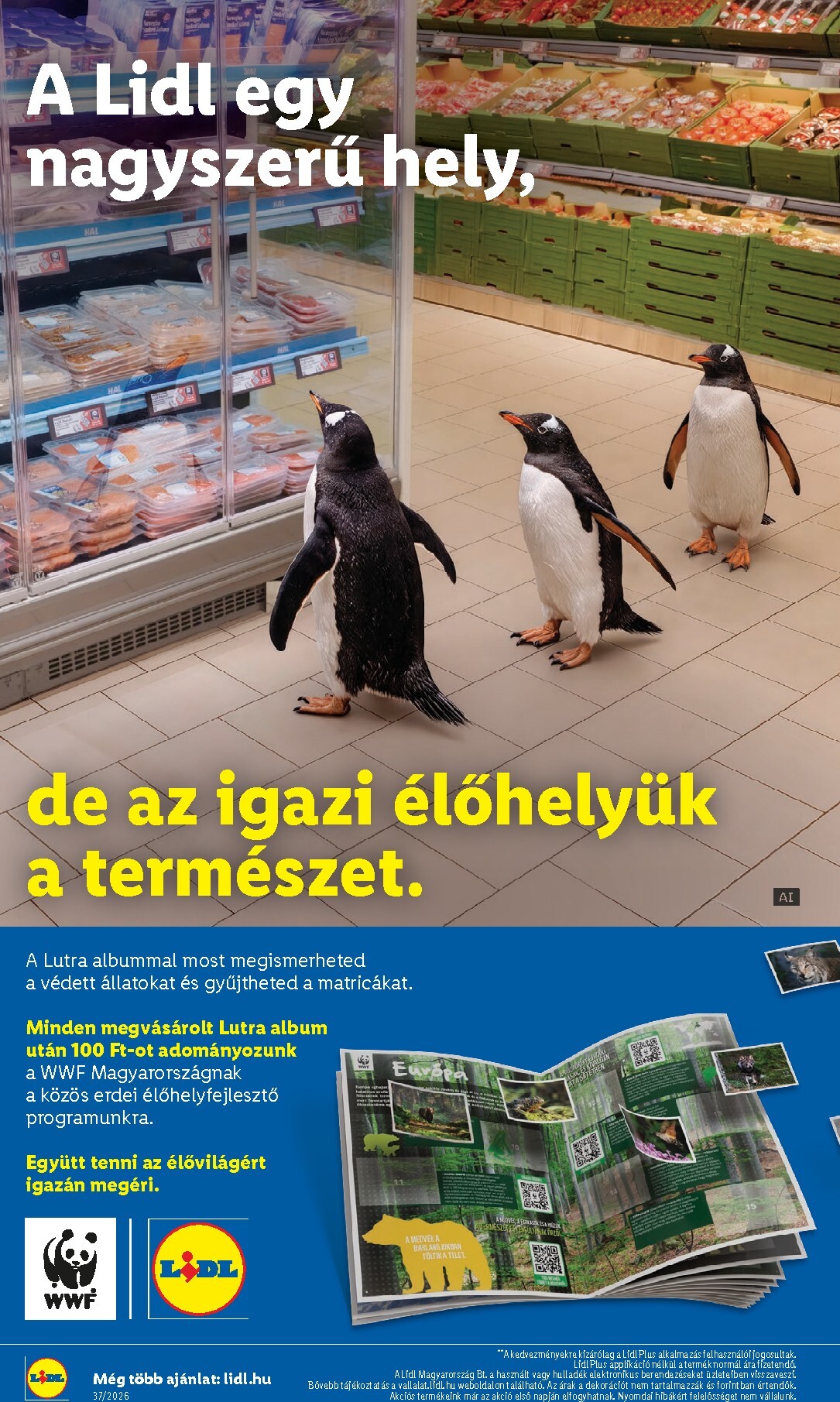 lidl - Lidl hirdetmény a következő hétre csütörtöktől 2026.09.10.-tól szerdától 2026.09.16.-ig - page: 28
