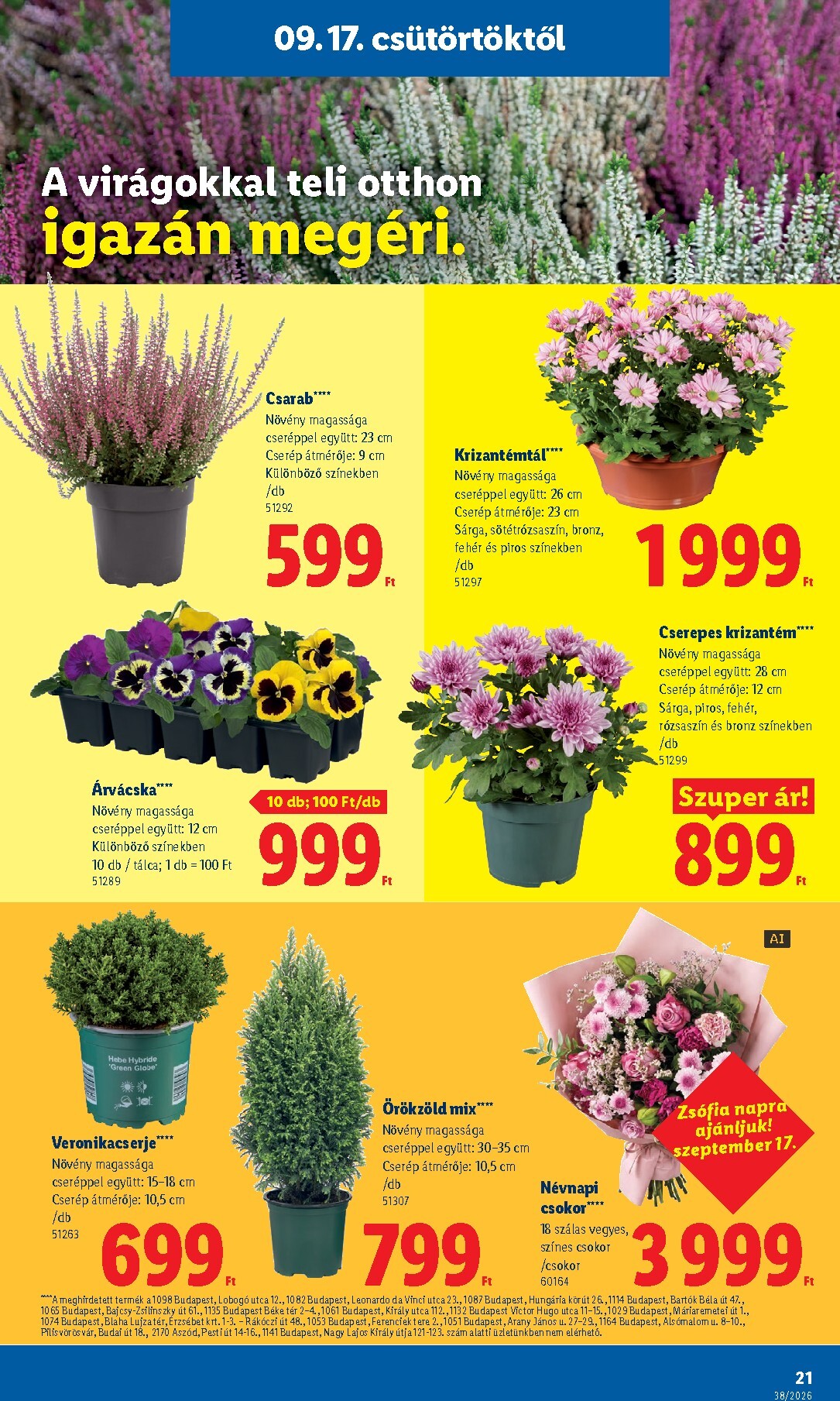 lidl - Aktuális Lidl szórólap érvényes csütörtöktől 2026.09.17.-től szerdától 2026.09.23.-ig - page: 21