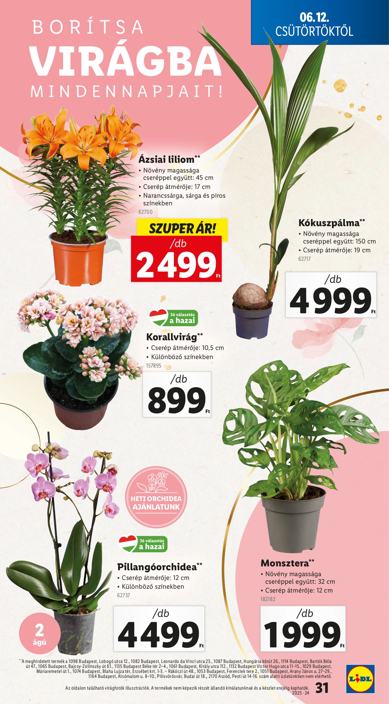 lidl - Lidl akciós újság, érvényes 06.12. - 06.18. - page: 31 lidl - Lidl akciós újság, érvényes 06.12. - 06.18. - page: 31
