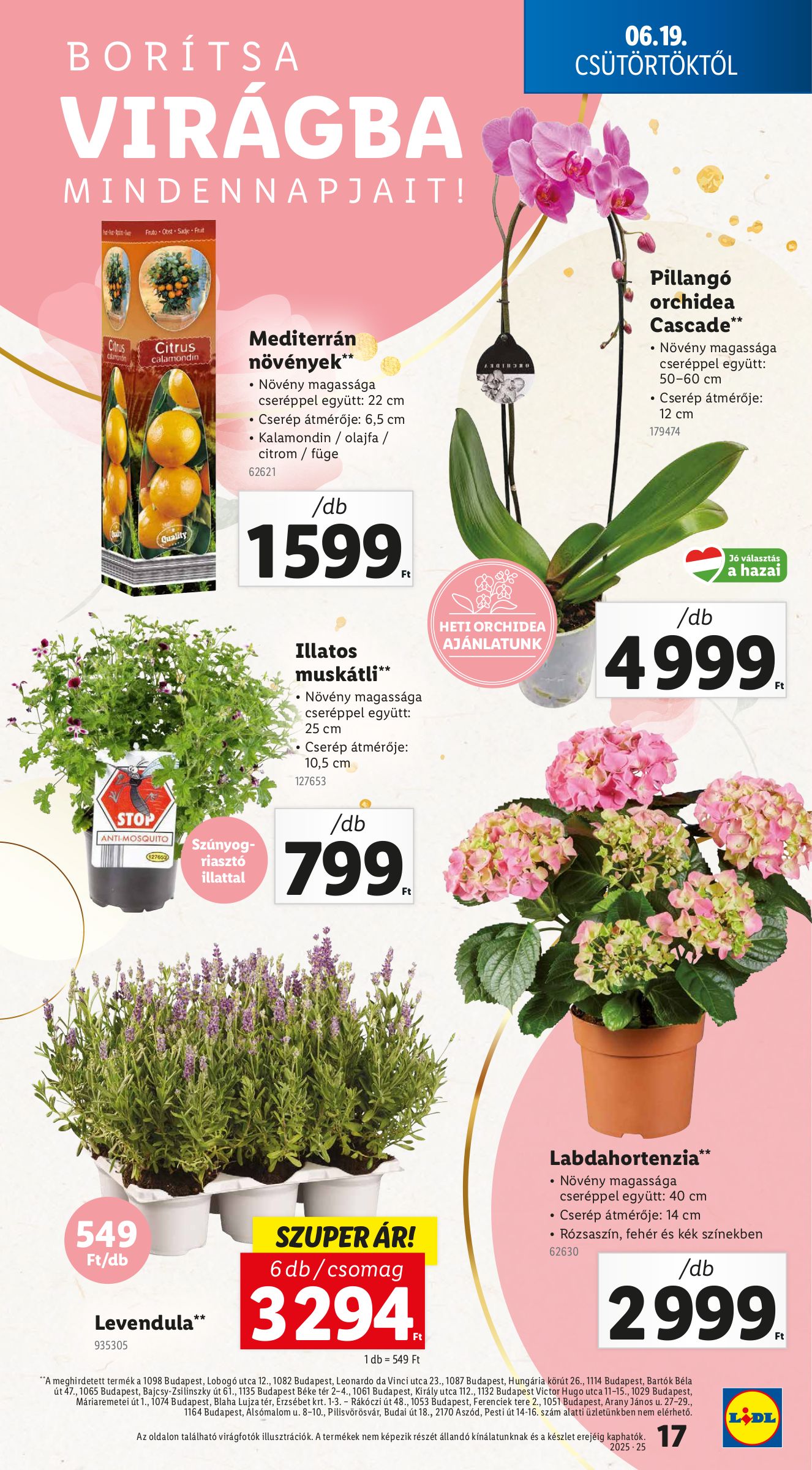 lidl - Lidl akciós újság, érvényes 06.19. - 06.25. - page: 17 lidl - Lidl akciós újság, érvényes 06.19. - 06.25. - page: 17