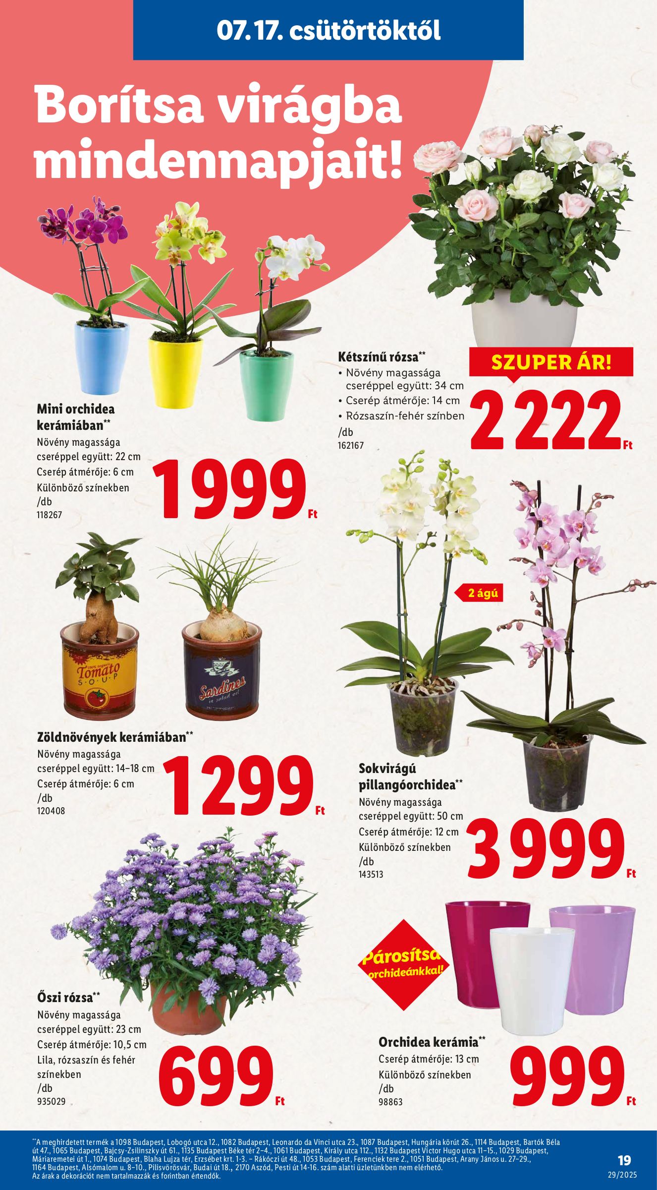 lidl - Lidl akciós újság, érvényes 07.17. - 07.23. - page: 19
