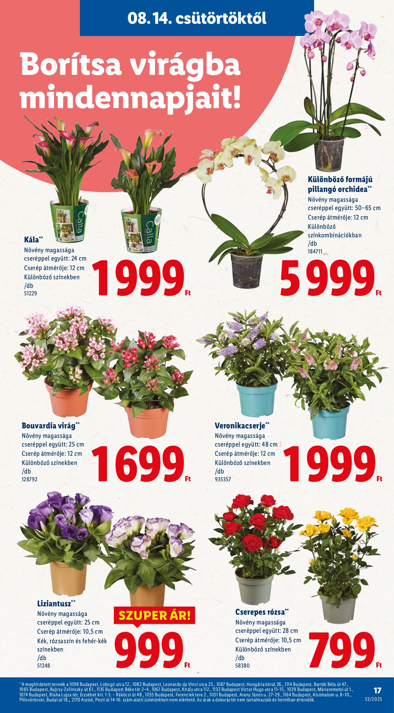 lidl - Lidl akciós újság, érvényes 08.14. - 08.20. - page: 17 lidl - Lidl akciós újság, érvényes 08.14. - 08.20. - page: 17