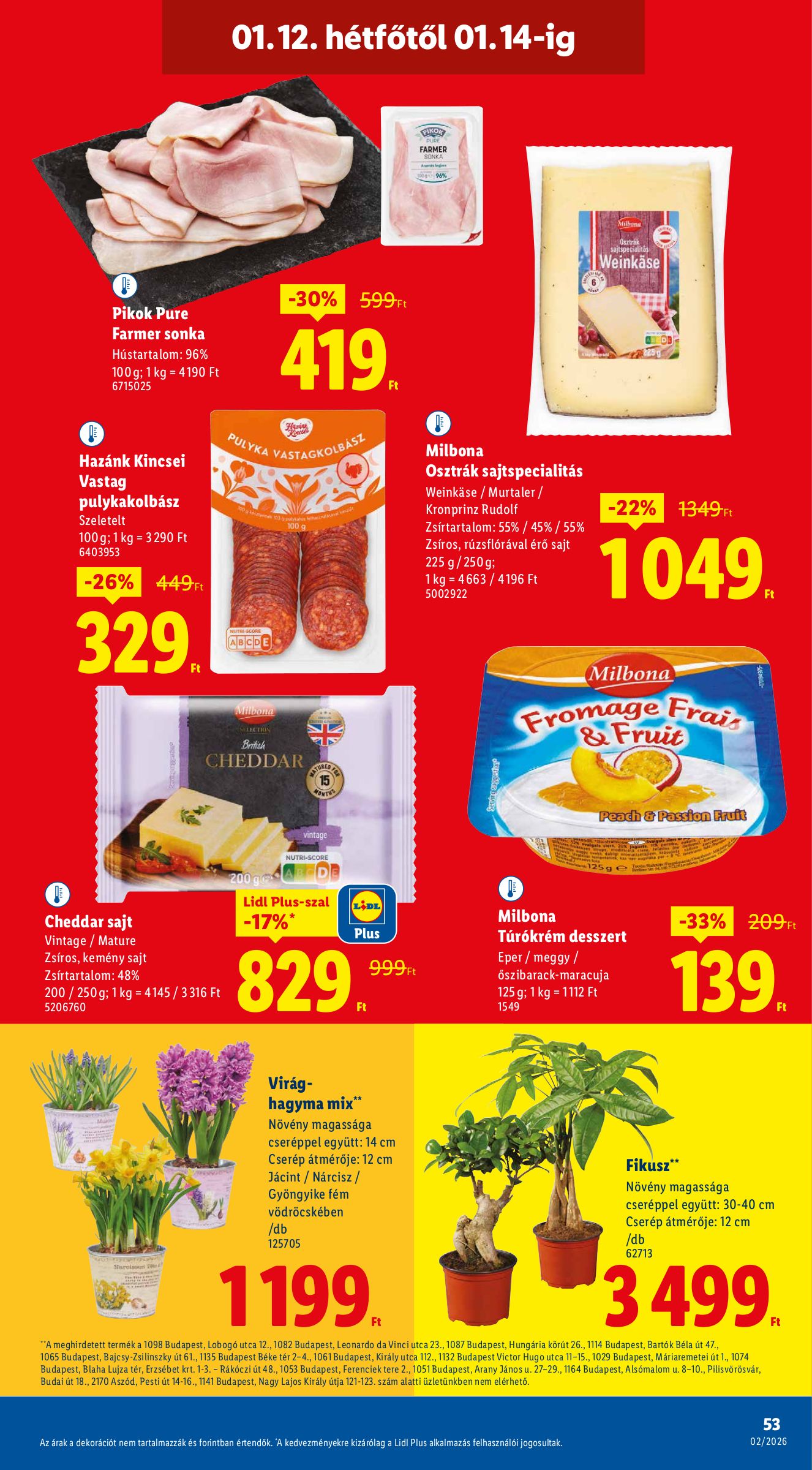 lidl - Lidl akciós újság, érvényes 01.08. - 01.14. - page: 53