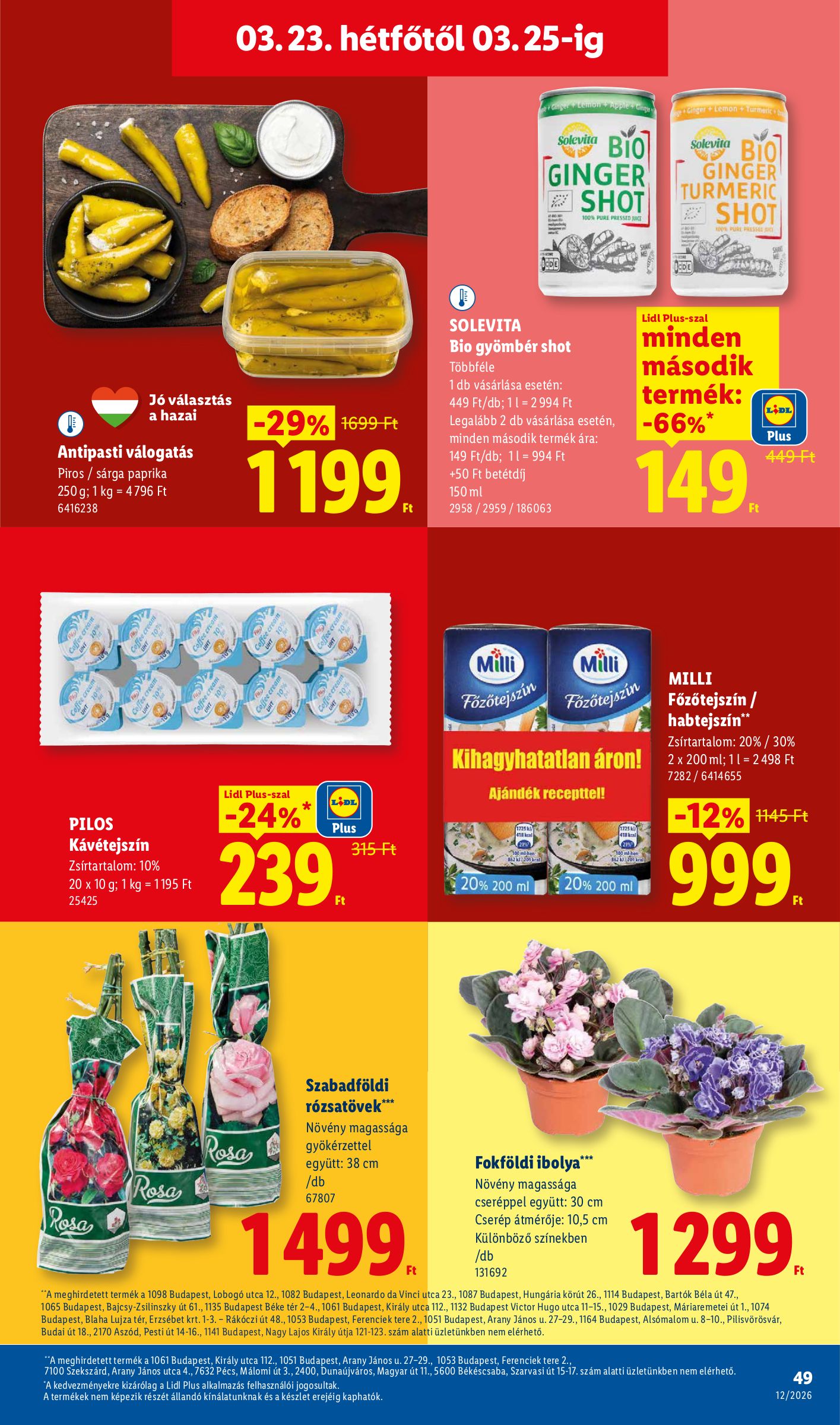 lidl - Lidl akciós újság, érvényes 2026.03.19. - 2026.03.25. - page: 49