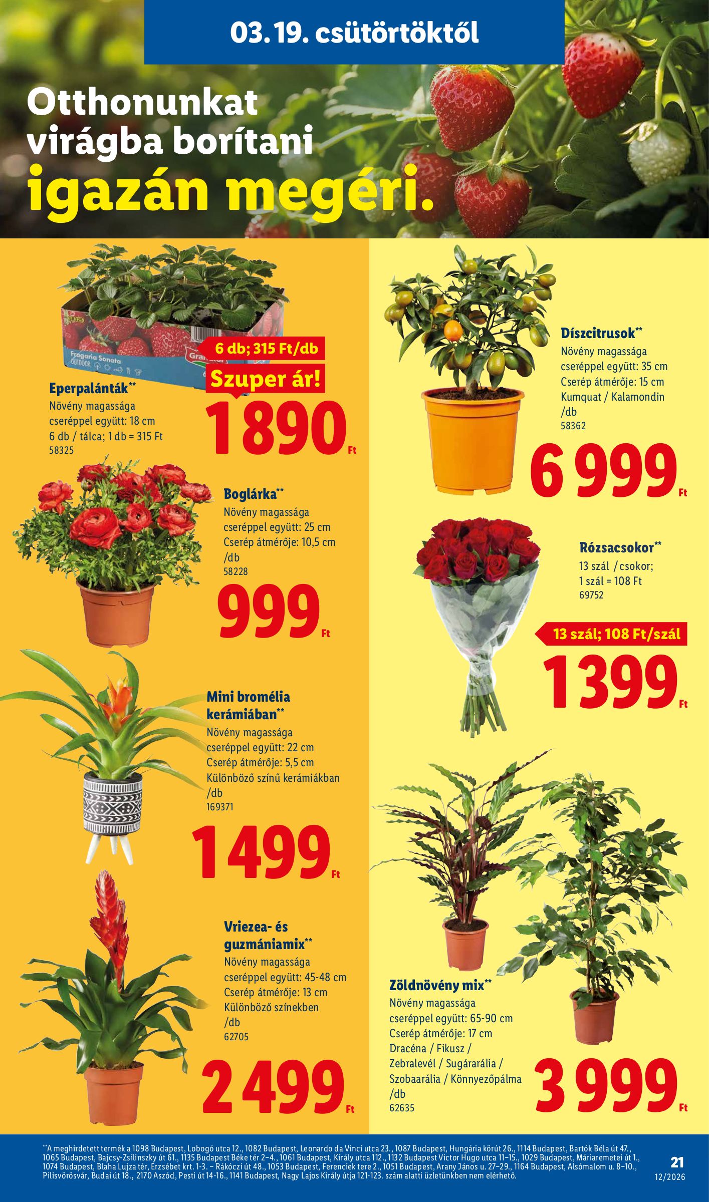 lidl - Lidl akciós újság, érvényes 2026.03.19. - 2026.03.25. - page: 21