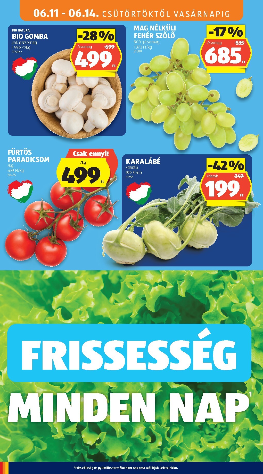 aldi - A jövőbeli Aldi akciós újság csütörtöktől 2026.06.11.-tól szerdától 2026.06.17.-ig érvényes. - page: 10
