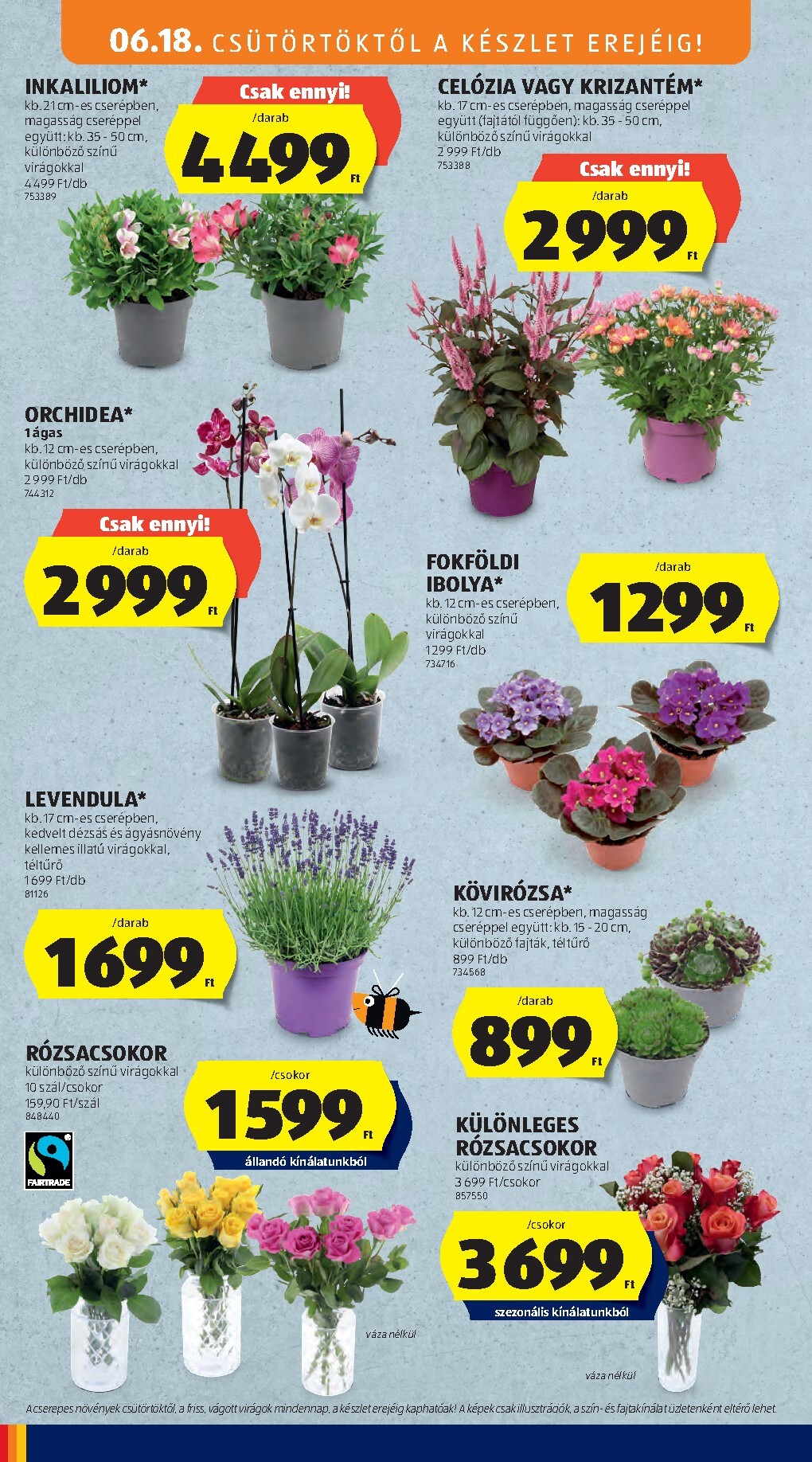 aldi - Aldi - Középső sor termékei hirdetmény a következő hétre csütörtöktől 2026.06.18.-tól keddtől 2026.06.30.-ig - page: 12
