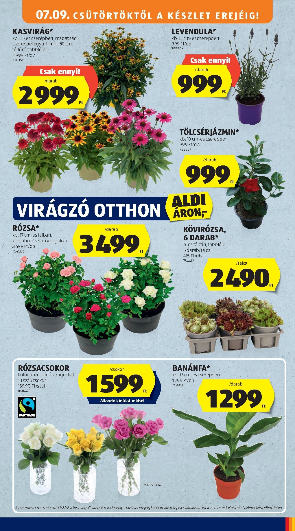 aldi - A jövőbeli Aldi akciós újság csütörtöktől 2026.07.09.-tól szerdától 2026.07.15.-ig érvényes. - page: 45