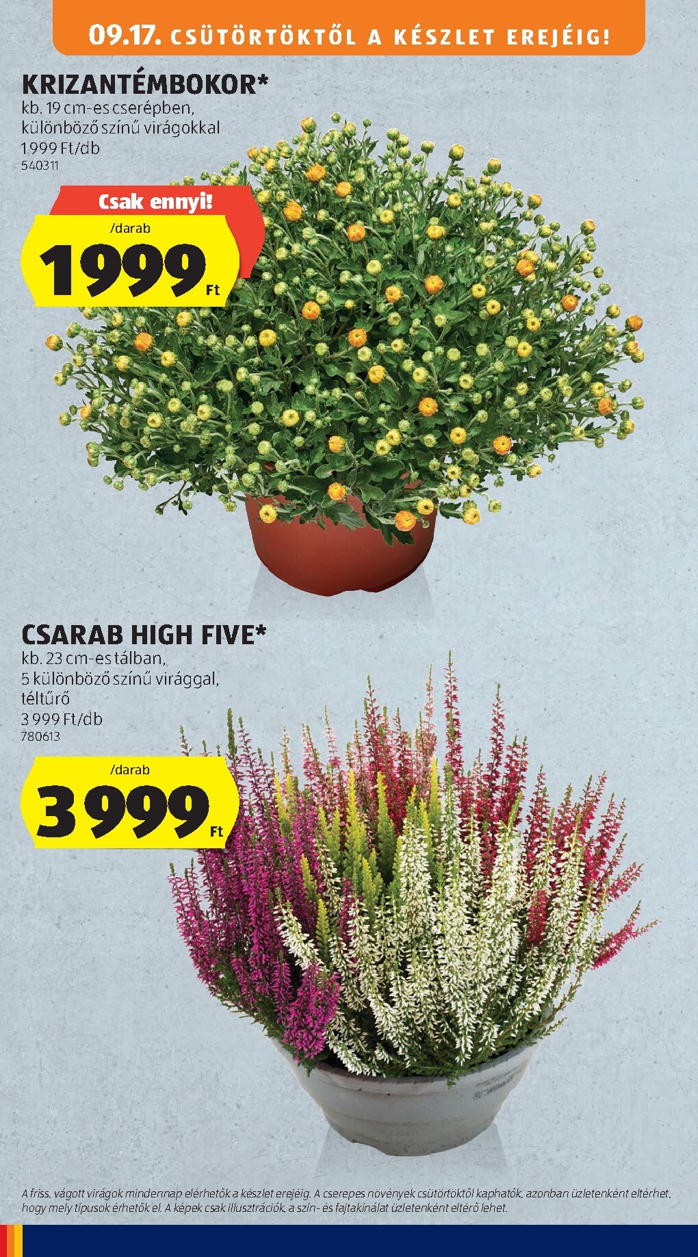 aldi - Aldi hirdetmény a következő hétre csütörtöktől 2026.09.17.-tól szerdától 2026.09.23.-ig - page: 32
