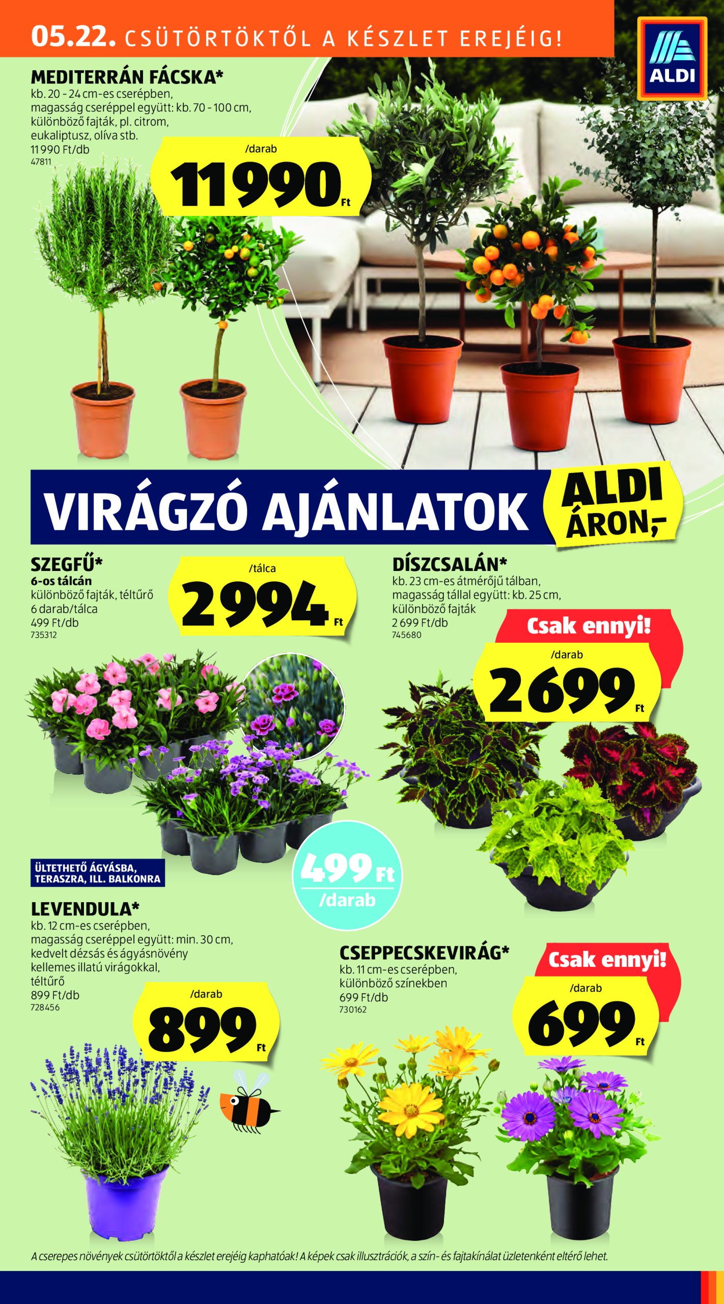 aldi - Aldi akciós újság, érvényes 05.22. - 05.28. - page: 31 aldi - Aldi akciós újság, érvényes 05.22. - 05.28. - page: 31