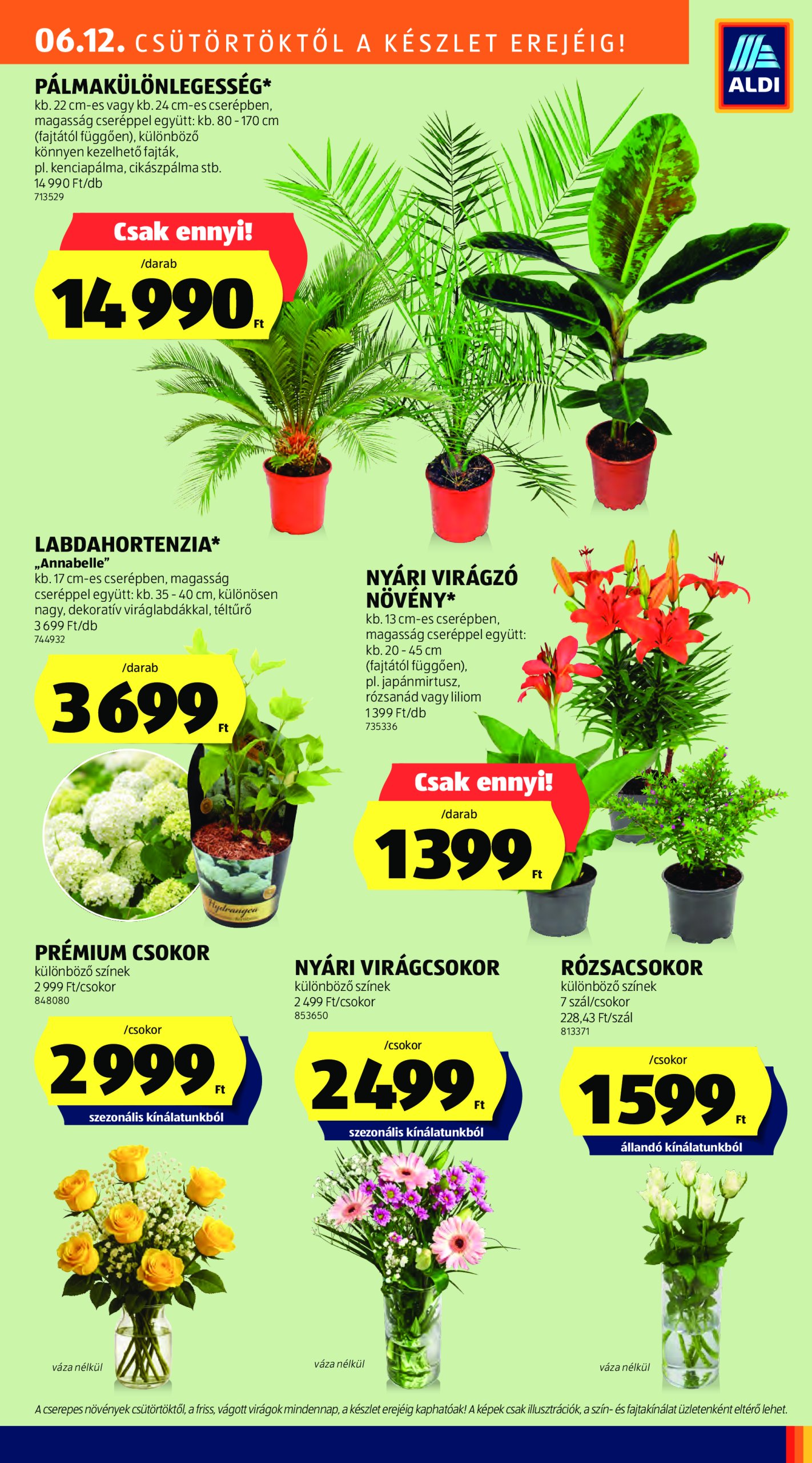 aldi - Aldi akciós újság, érvényes 06.12. - 06.18. - page: 29 aldi - Aldi akciós újság, érvényes 06.12. - 06.18. - page: 29