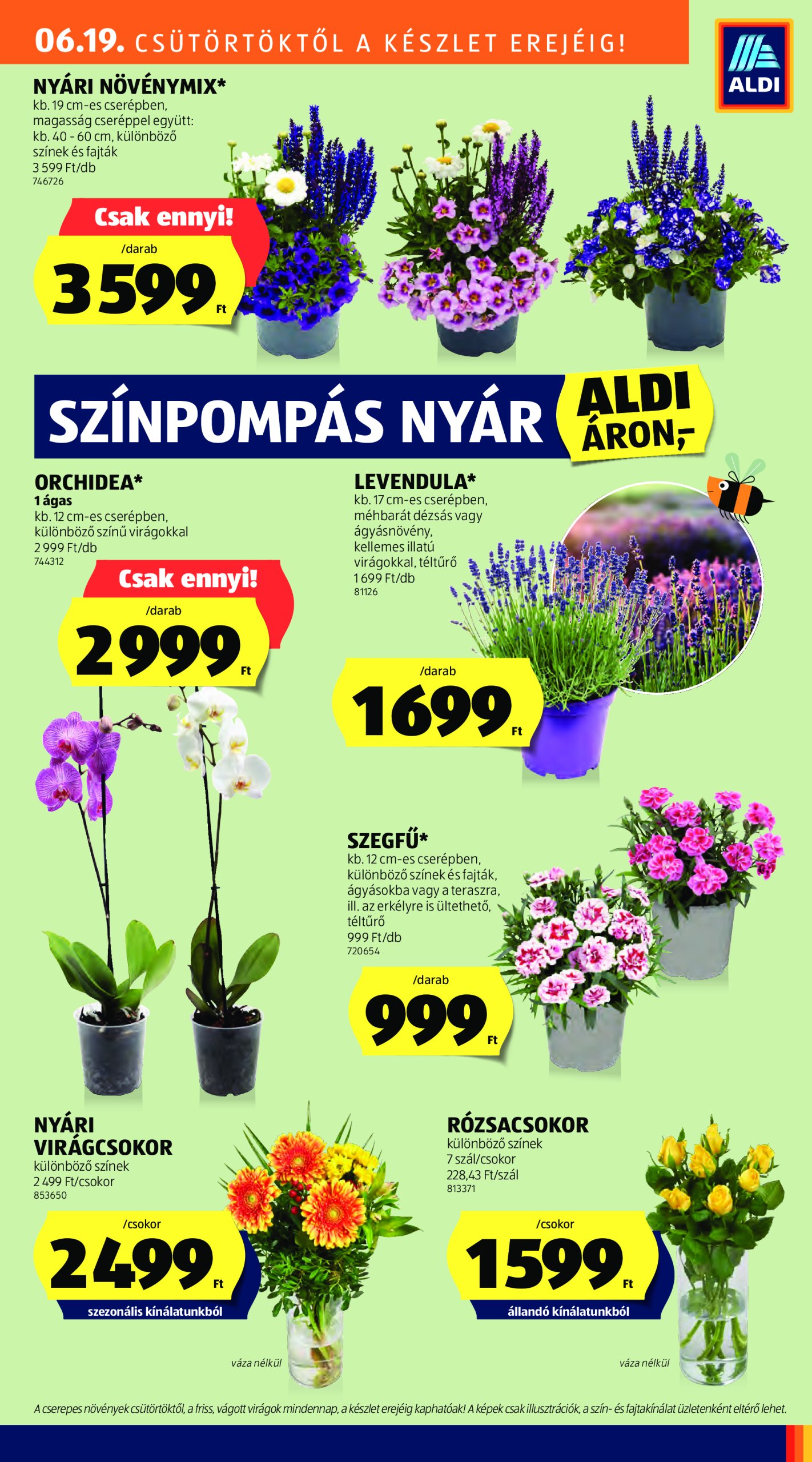 aldi - Aldi akciós újság, érvényes 06.19. - 06.25. - page: 27 aldi - Aldi akciós újság, érvényes 06.19. - 06.25. - page: 27