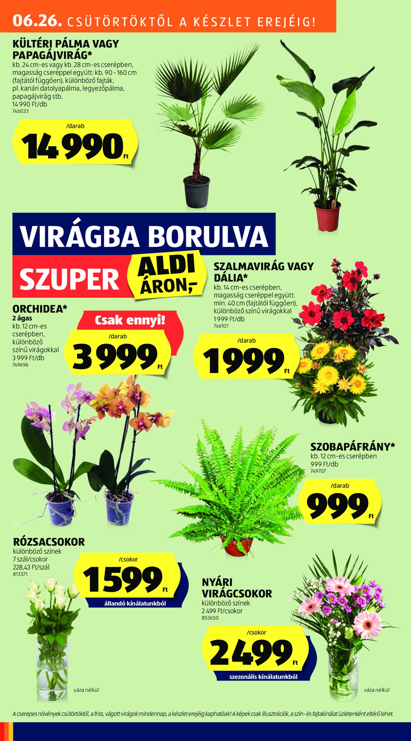 aldi - Aldi - Középső sor termékei akciós újság, érvényes 06.26. - 07.02. - page: 10