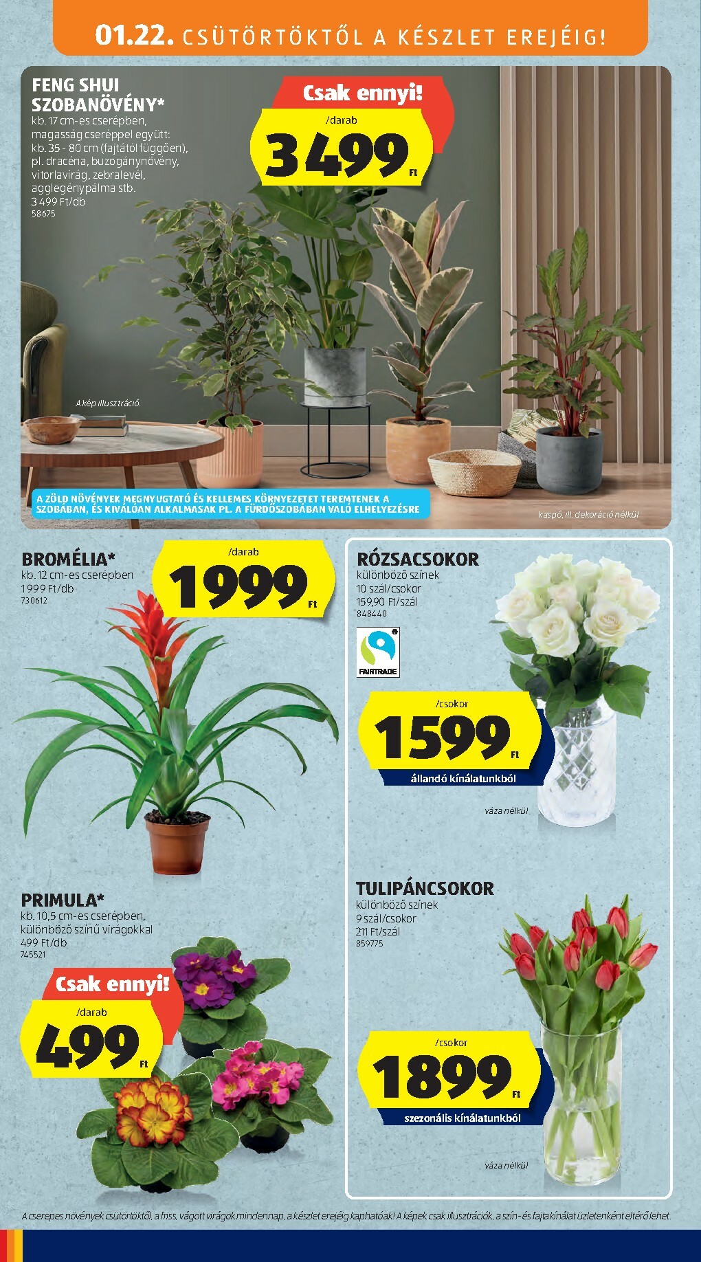 aldi - Aldi - Középső sor termékei akciós újság, érvényes 01.22. - 01.28. - page: 4