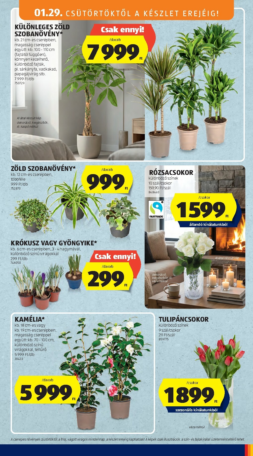 aldi - Aldi akciós újság, érvényes 01.29. - 02.04. - page: 23