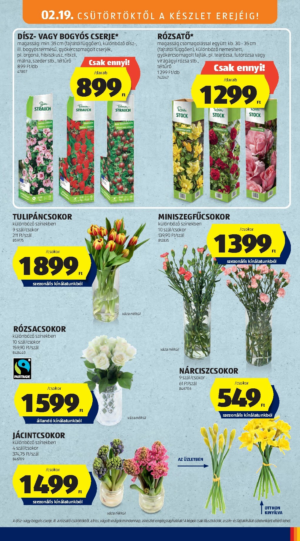 aldi - Aldi akciós újság, érvényes 2026.02.19. - 2026.02.25. - page: 27