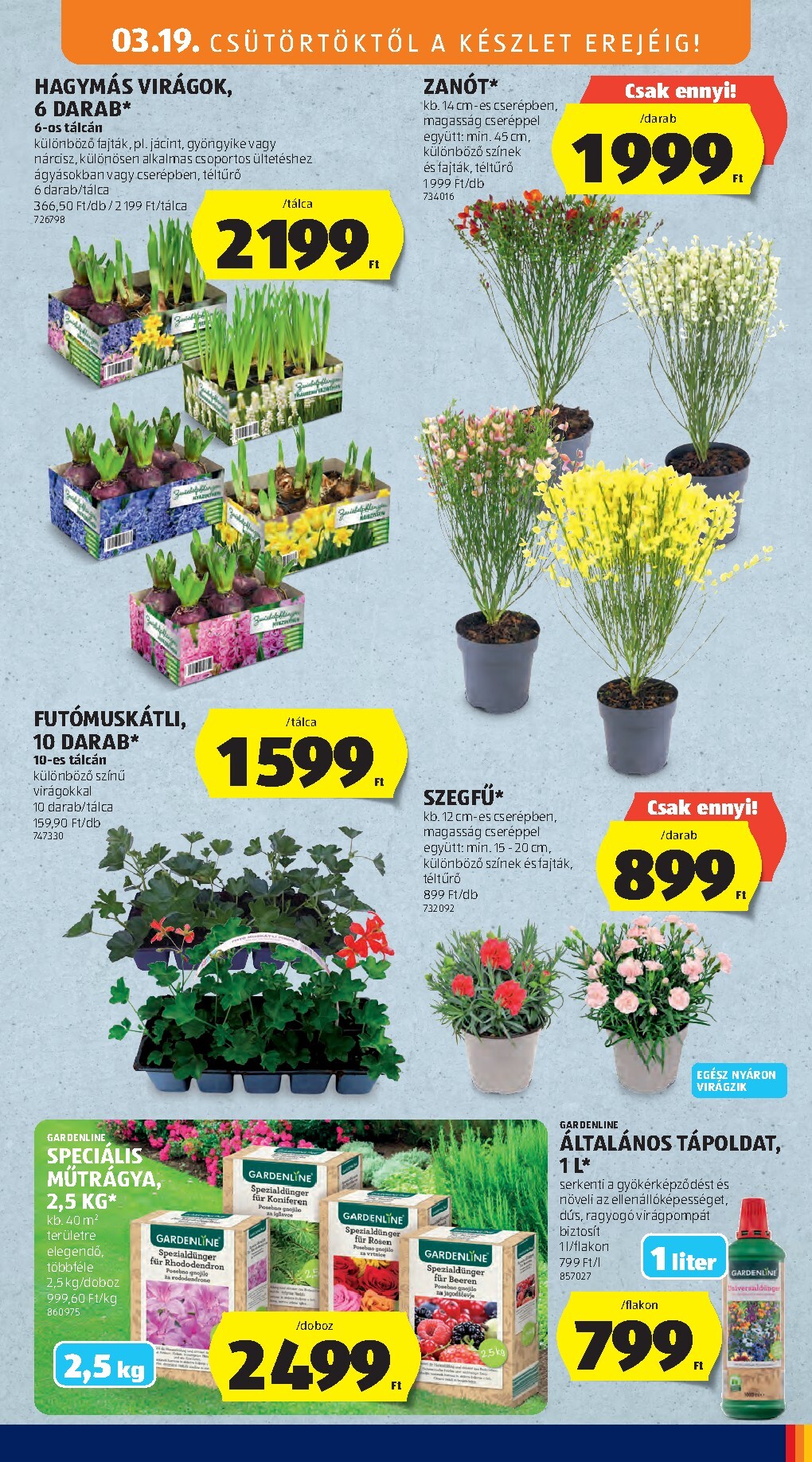 aldi - Aldi akciós újság, érvényes 2026.03.19. - 2026.03.25. - page: 51