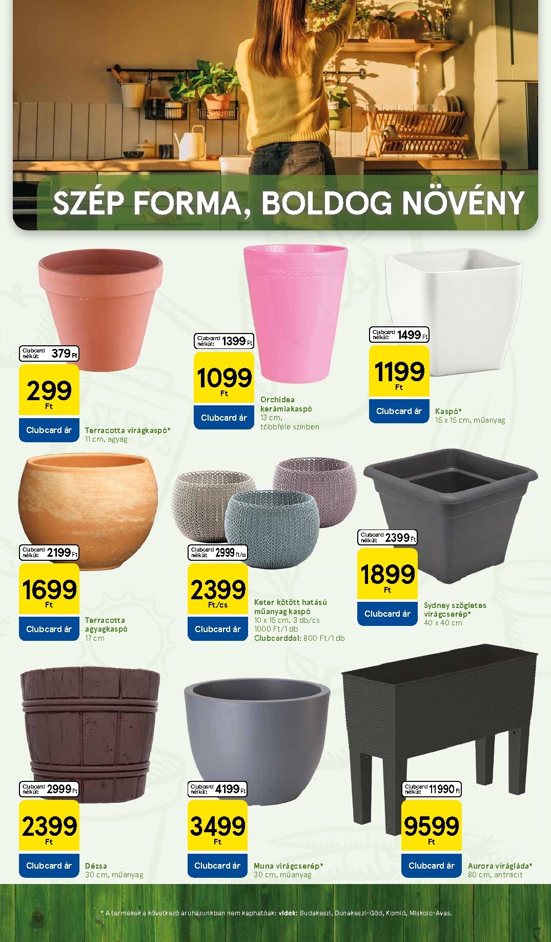 tesco - Tesco - Szép kert akciós újság, érvényes 2026.03.04. - 2026.04.07. - page: 9