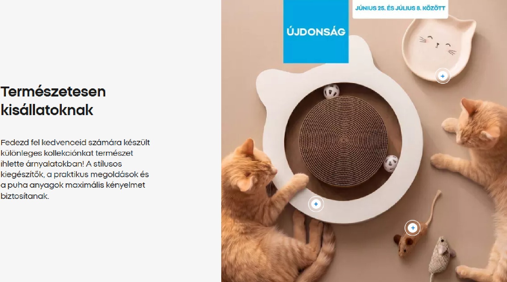 pepco - Aktuális Pepco - A hét slágerei! szórólap érvényes csütörtöktől 2026.07.02.-től szerdától 2026.07.08.-ig - page: 13