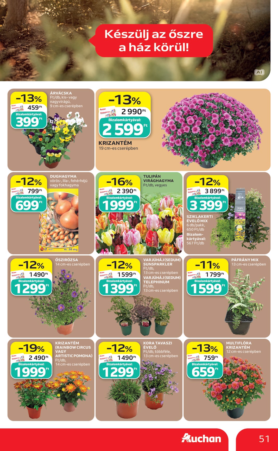 auchan - Aktuális Auchan szórólap érvényes csütörtöktől 2026.09.17.-től szerdától 2026.09.23.-ig - page: 51