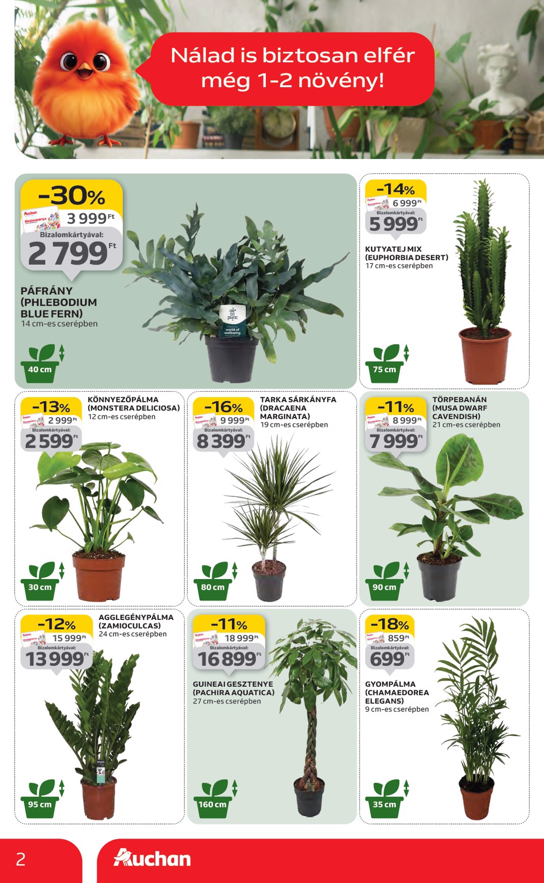 auchan - Auchan Hipermarket akciós újság, érvényes 01.22. - 01.28. - page: 2