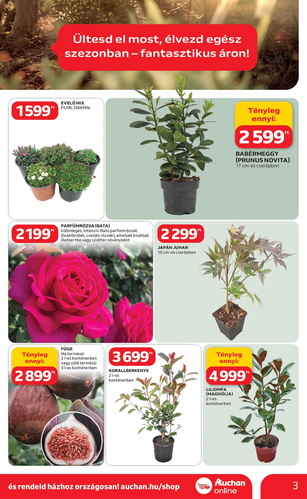 auchan - Auchan Hipermarket - Ki a szabadba akciós újság, érvényes 2026.03.05. - 2026.04.04. - page: 3